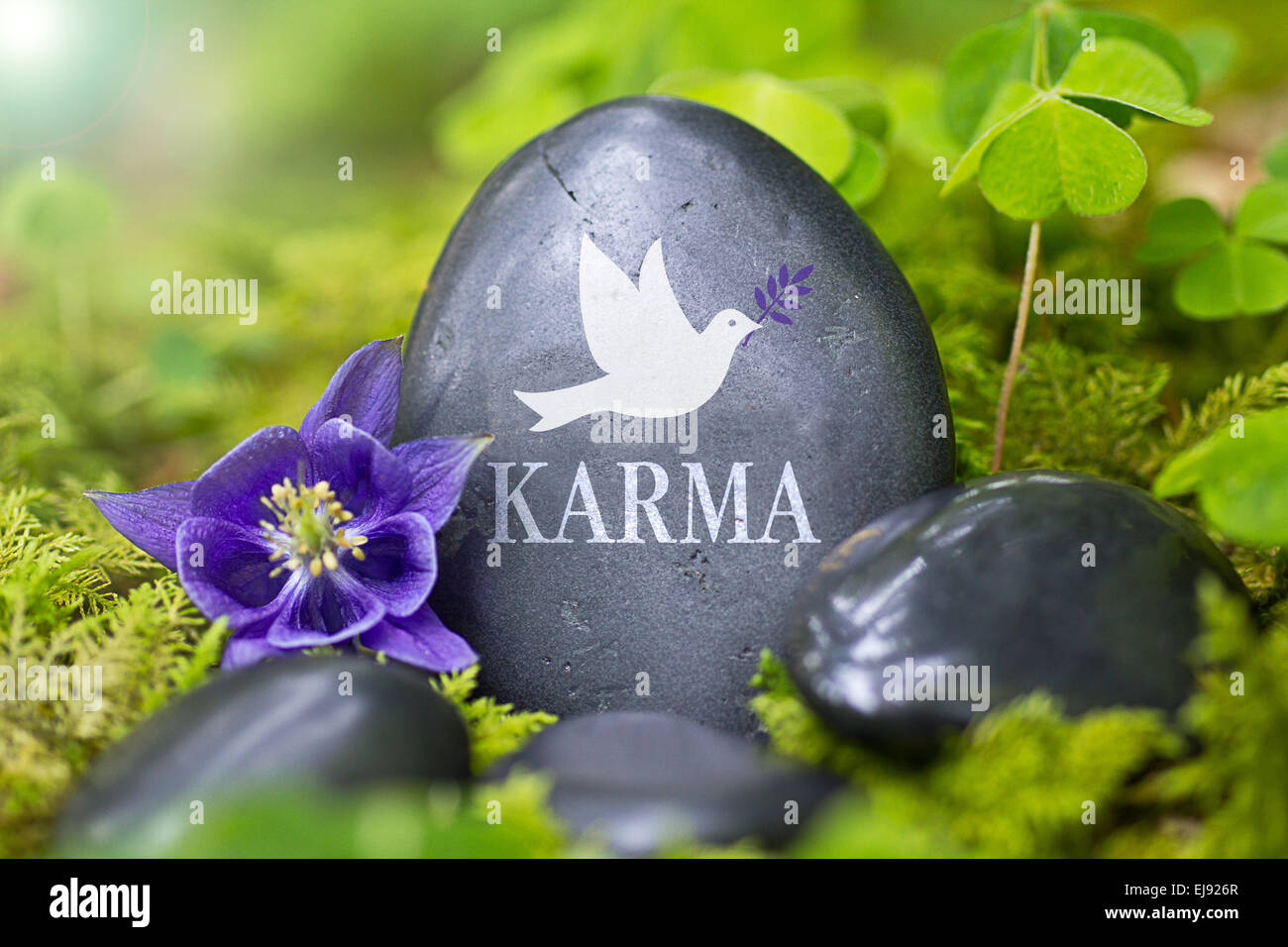 Schwarzer Stein mit dem Wort "Karma" Stockfoto