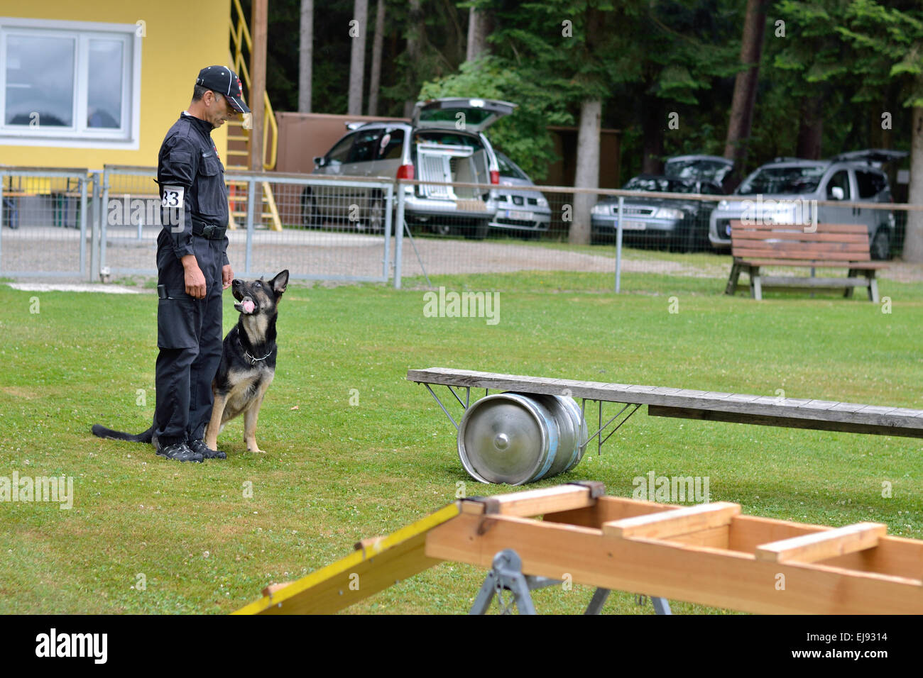 Ausbilder mit Shepherd Rescue Dog training Stockfoto