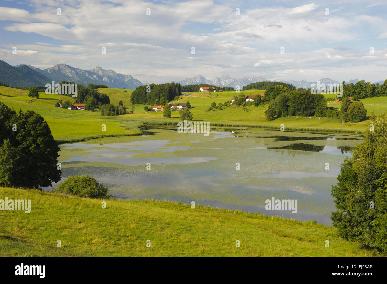 See und Alpen Berge in Bayern Stockfoto