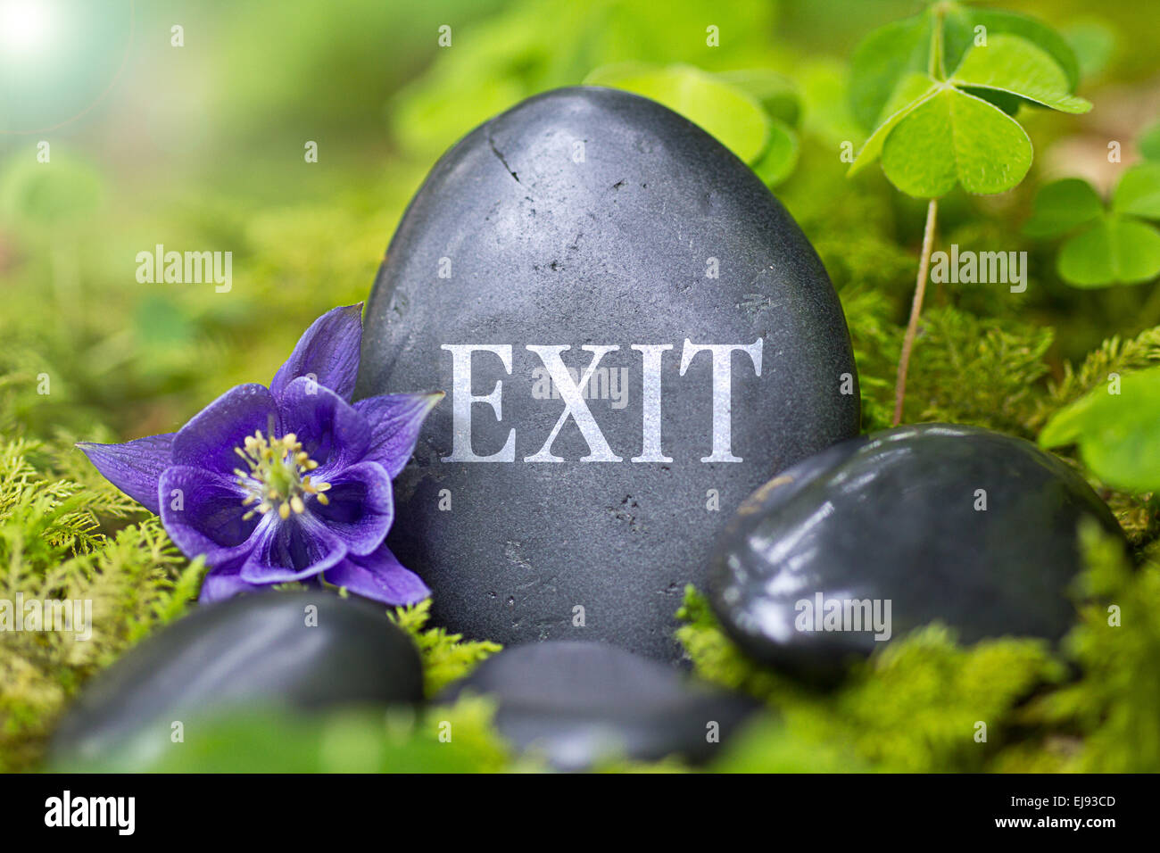 Schwarzer Stein mit dem Wort "Exit" Stockfoto