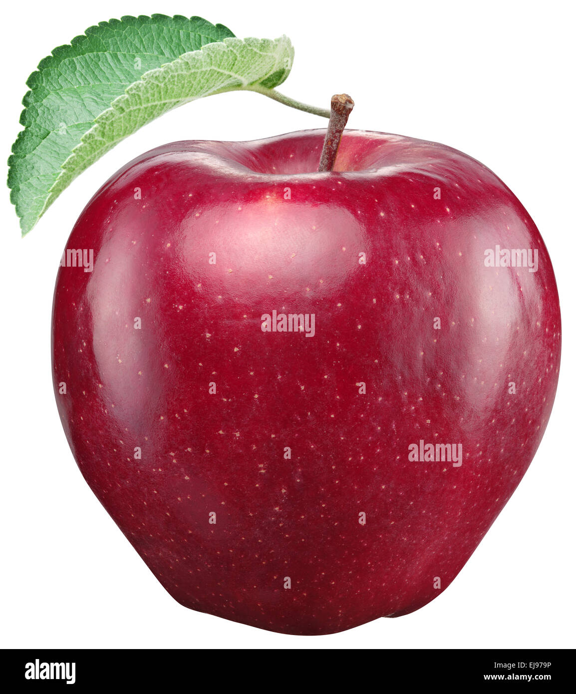 Roter Apfel auf einem weißen Hintergrund. Beschneidungspfade. Stockfoto