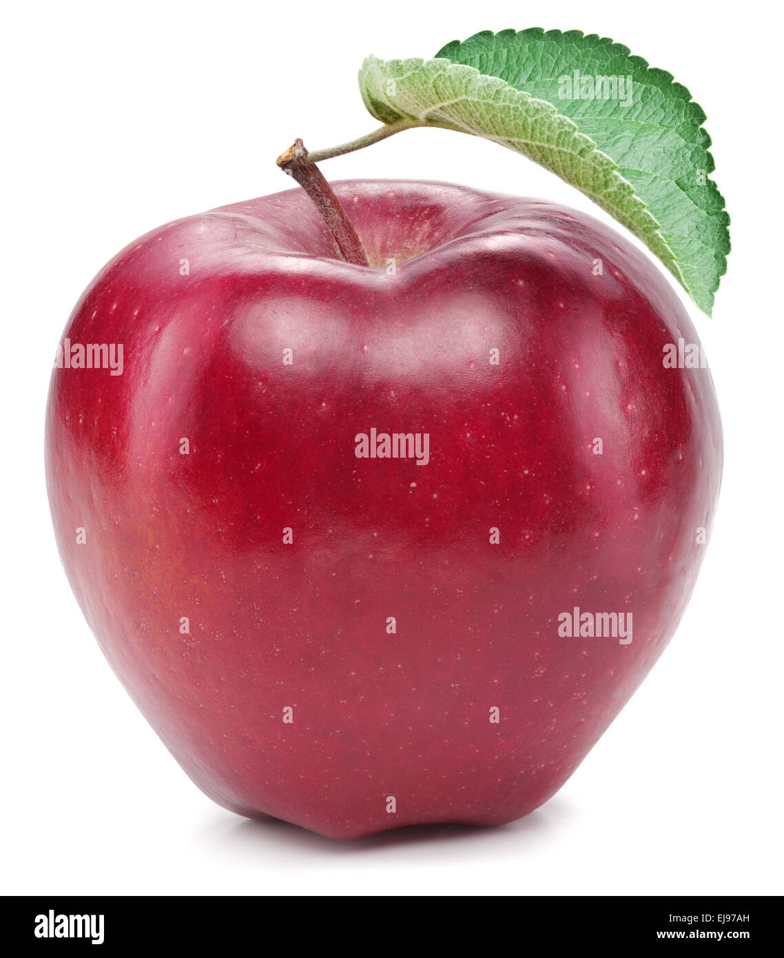 Roter Apfel auf einem weißen Hintergrund. Stockfoto