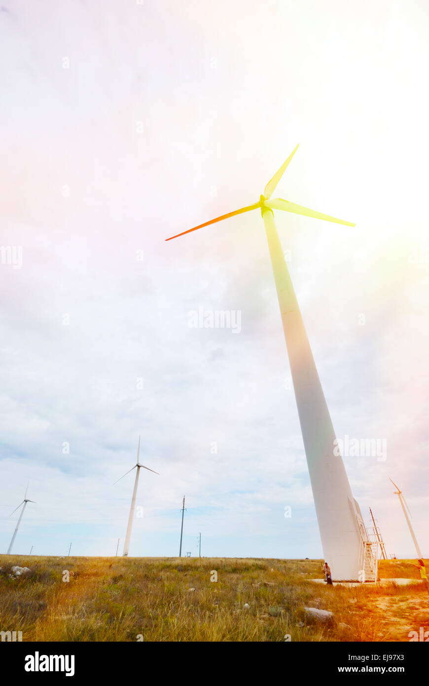 Windmühlen zur Stromerzeugung Stockfoto