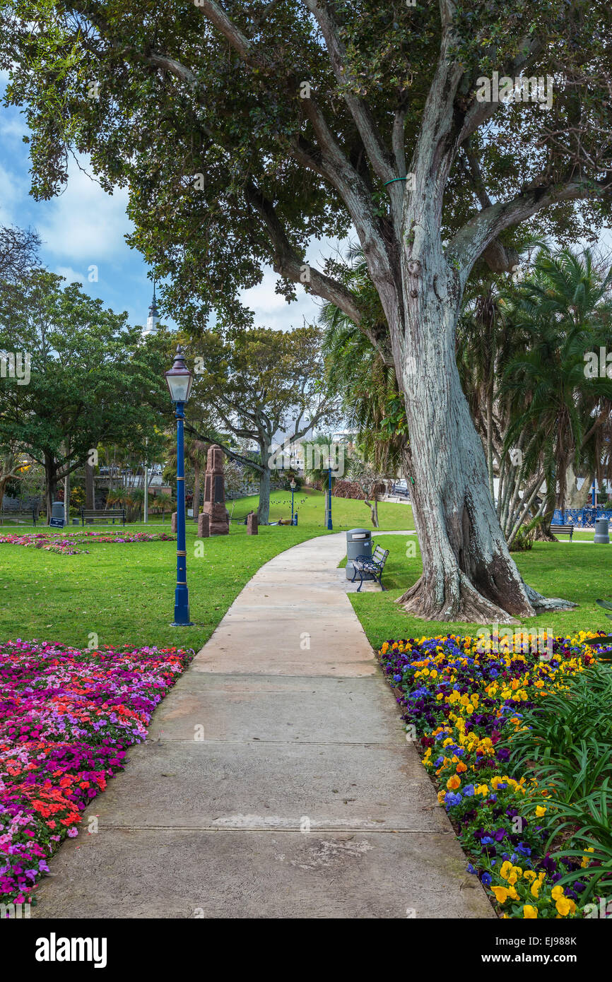 Blumenbeete im schönen Victoria Park in Hamilton, Bermuda. Stockfoto
