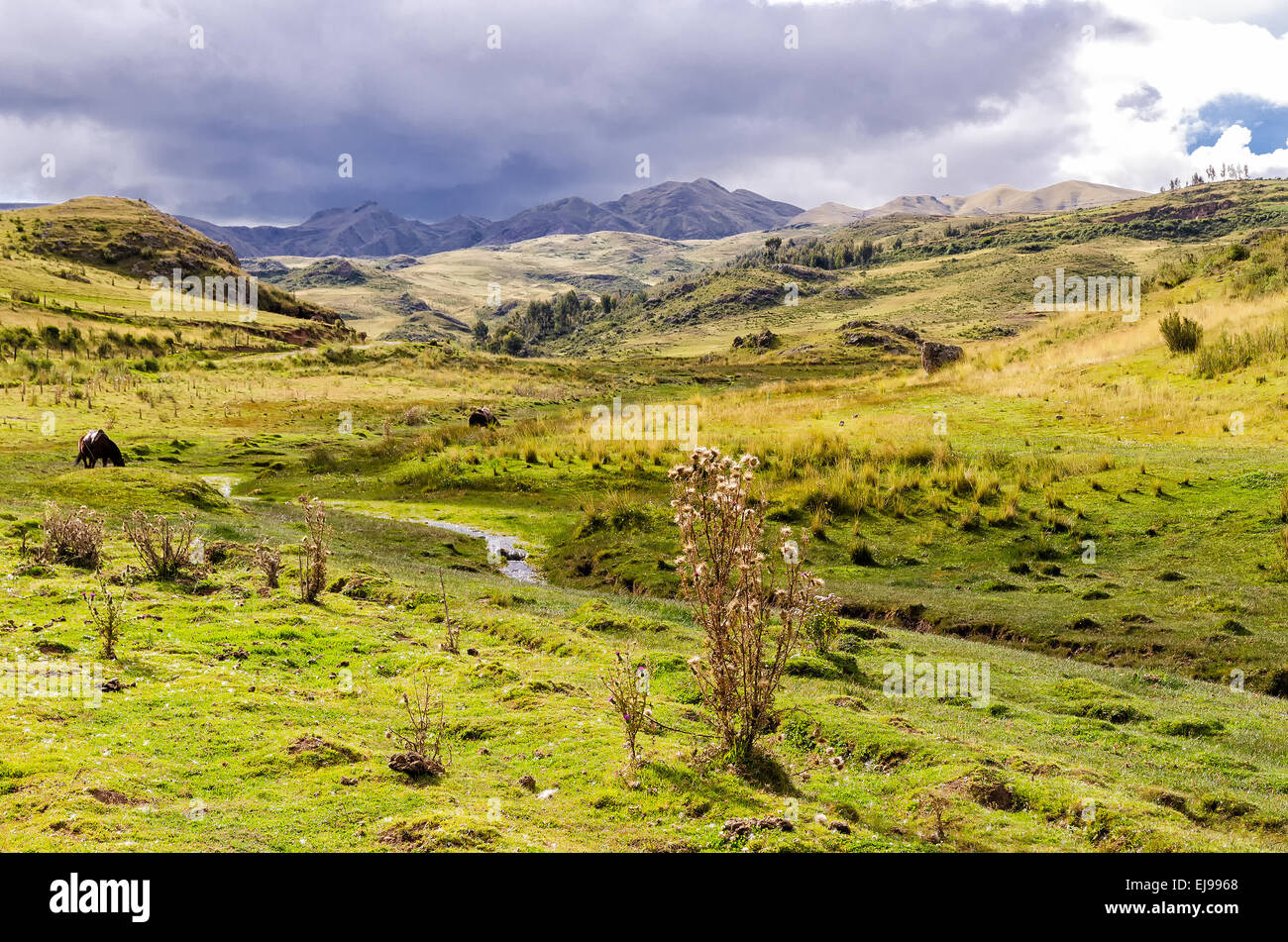 Die Anden in Peru Stockfoto