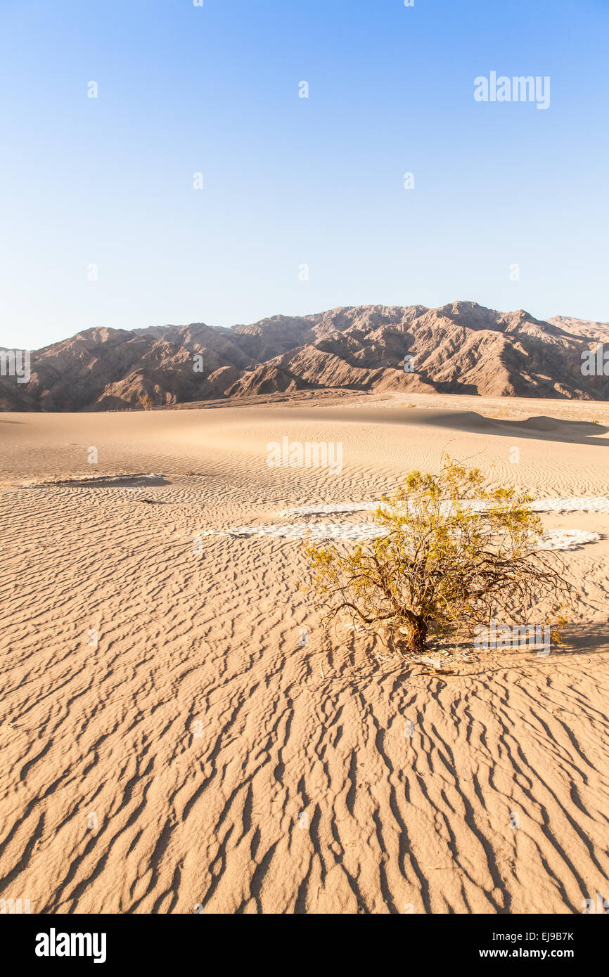 Death Valley Wüste Stockfoto