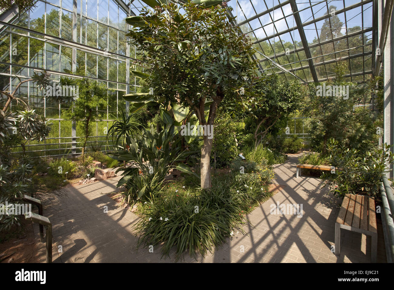 Botanischer Garten, Bochum, Deutschland Stockfotografie Alamy