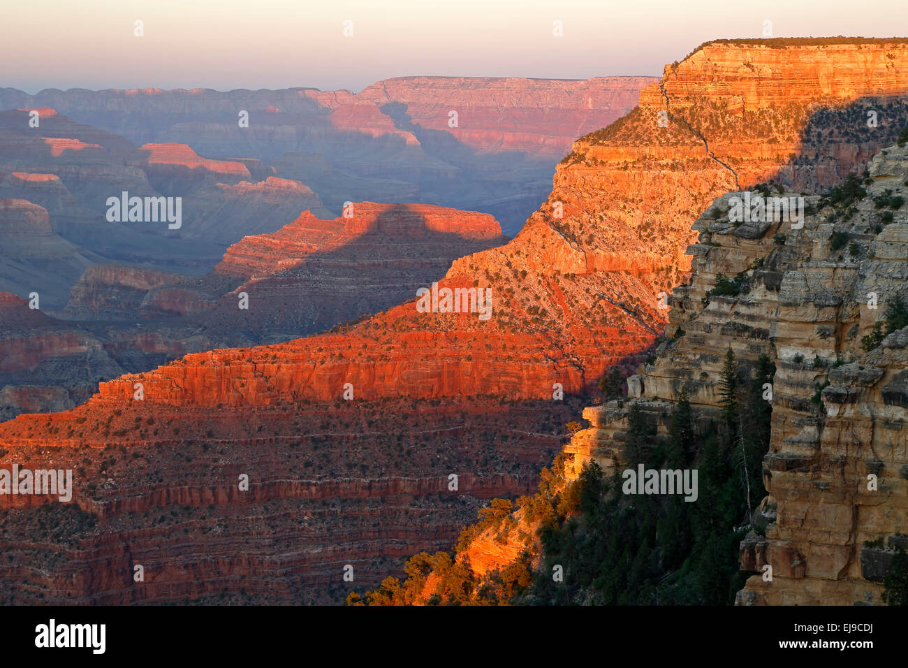 Canyon Felsformationen aus der Nähe von Yavapai Point, Grand Canyon National Park, Arizona USA Stockfoto