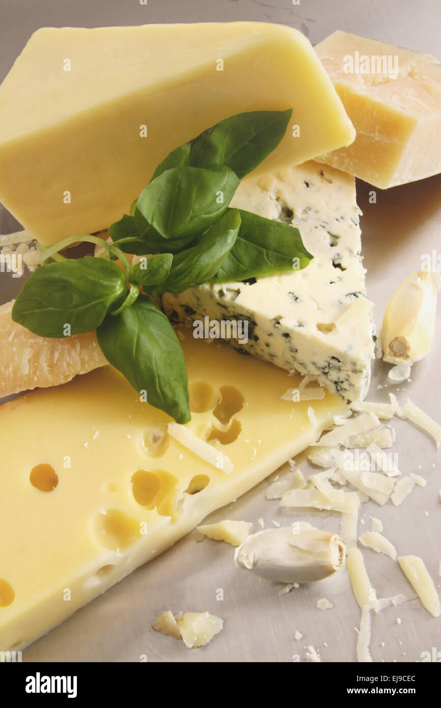 Verschiedene Arten von Käse auf Edelstahl Theke Stockfoto