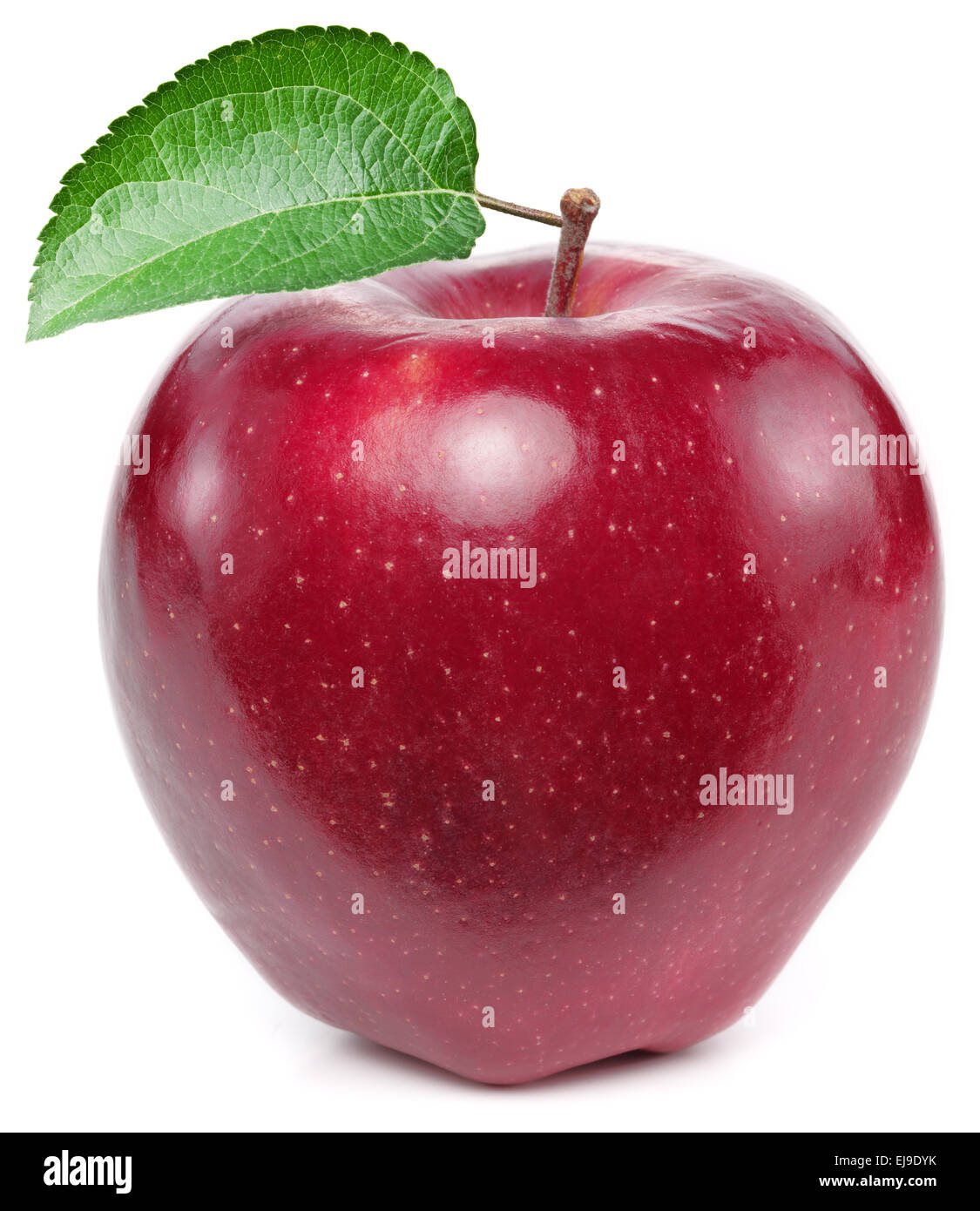 Roter Apfel auf einem weißen Hintergrund. Stockfoto