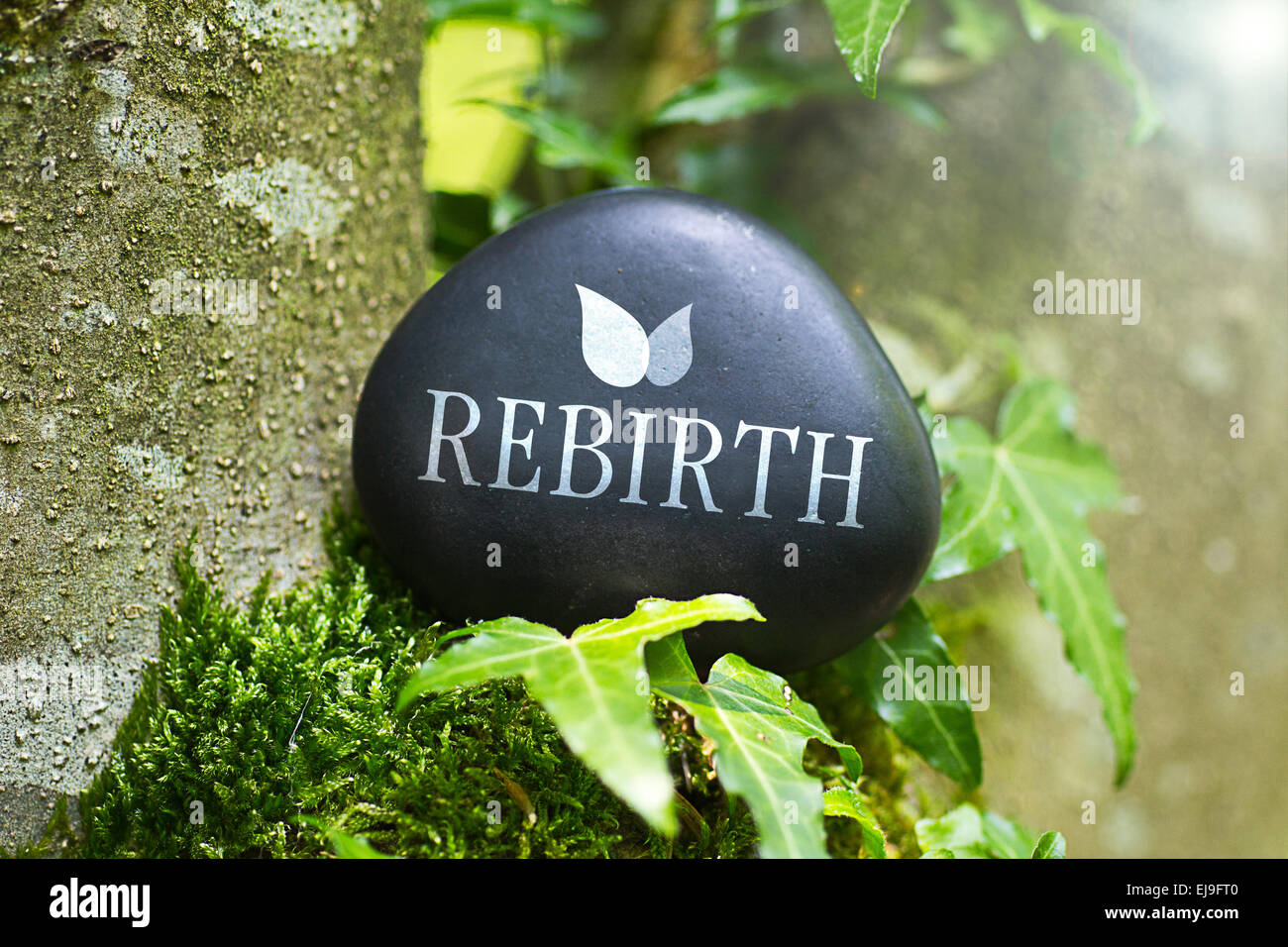 Das Wort "Rebirth" auf einem Stein in der Natur Stockfoto