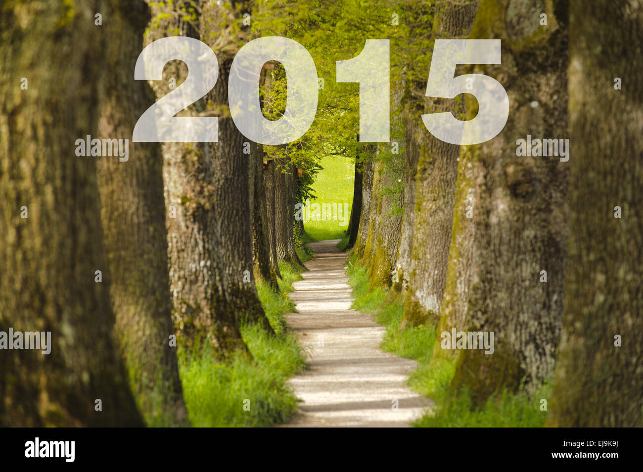 Weg und Ziel für Silvester 2015 Stockfoto