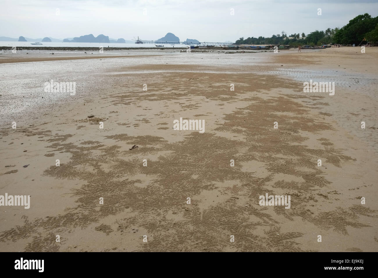 Mustern gebildet durch Kugeln erstellt von Sand Bubbler Krabben, Scopimera spp., bei Ebbe am Strand in der Nähe von Krabi an der Andamanensee, Th Stockfoto