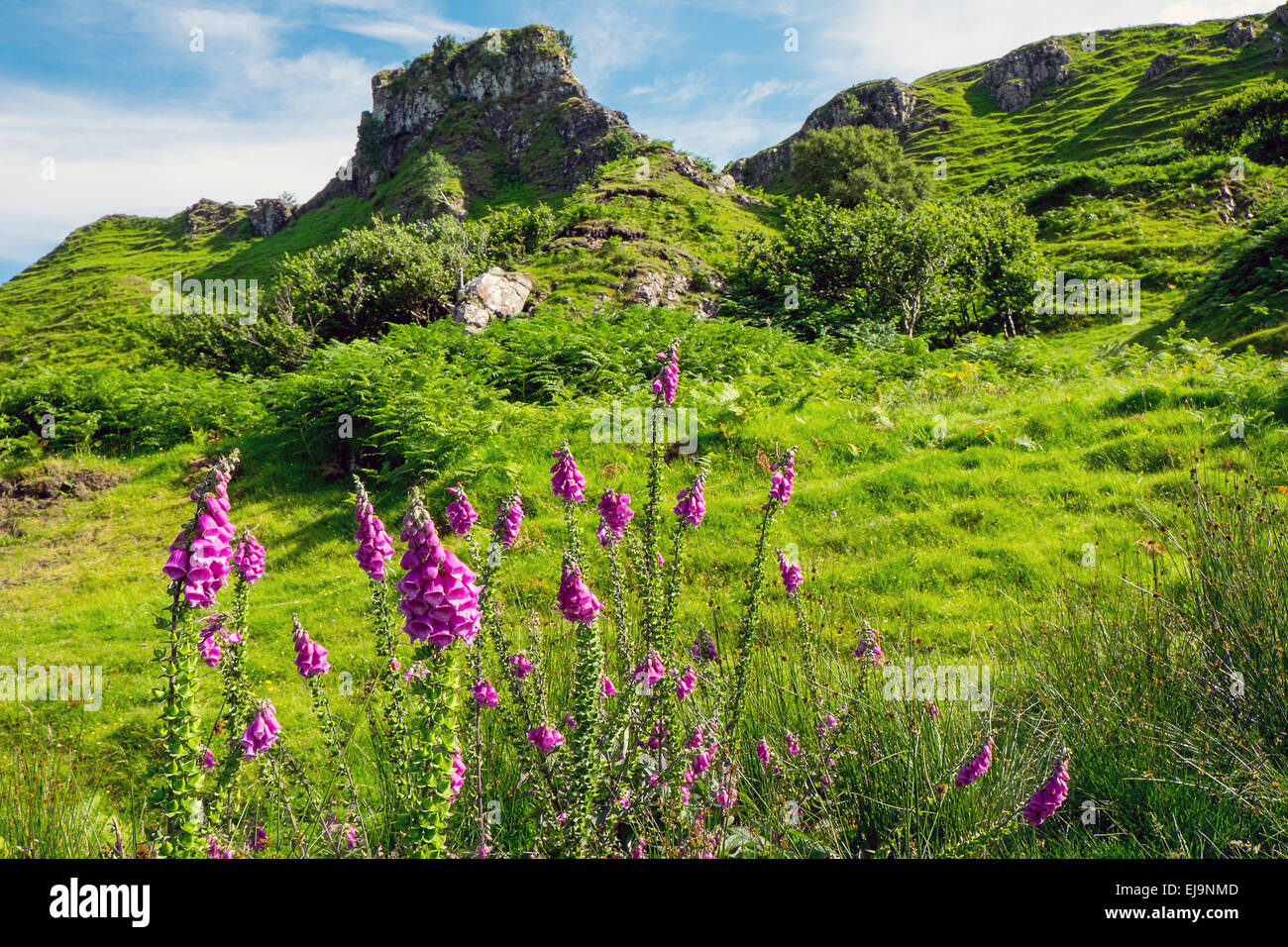 Fairy Glen auf der Isle Of Skye Stockfoto