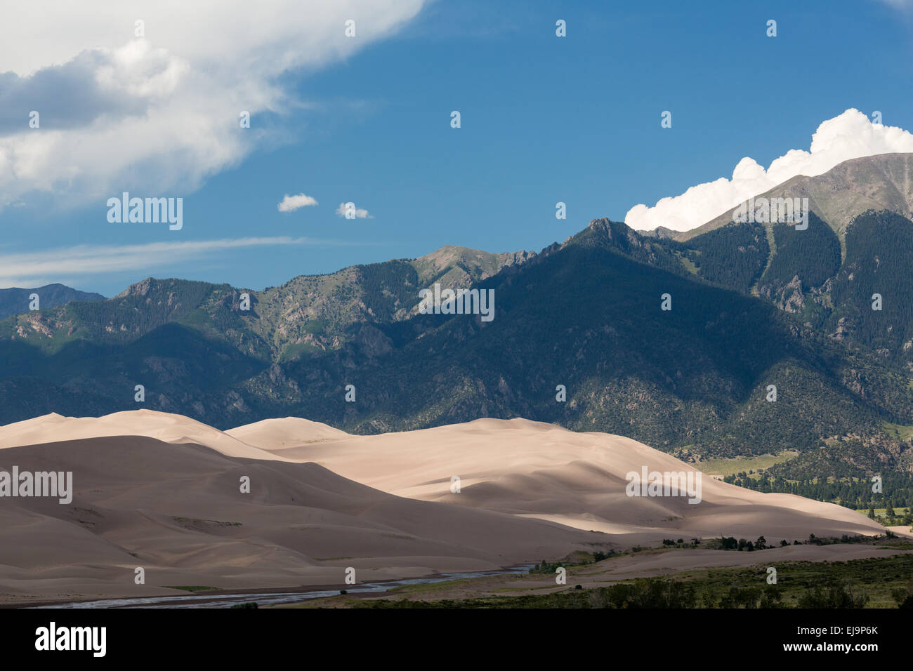 Detail der Great Sand Dunes NP Stockfoto