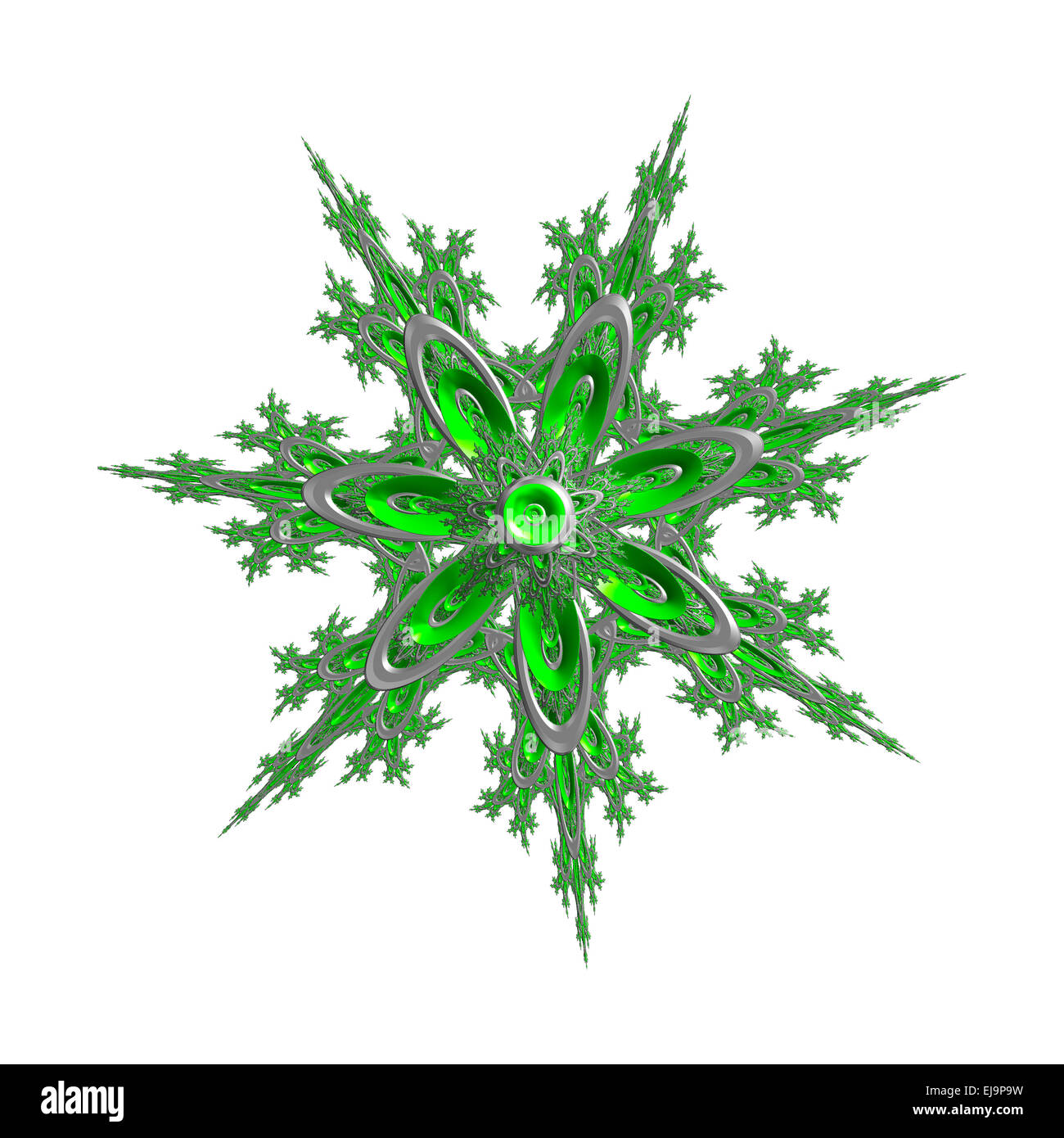 Rosette 16 Stockfoto