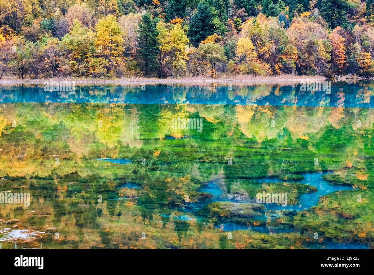 Herbstlandschaften Märchen in jiuzhaigou Stockfoto