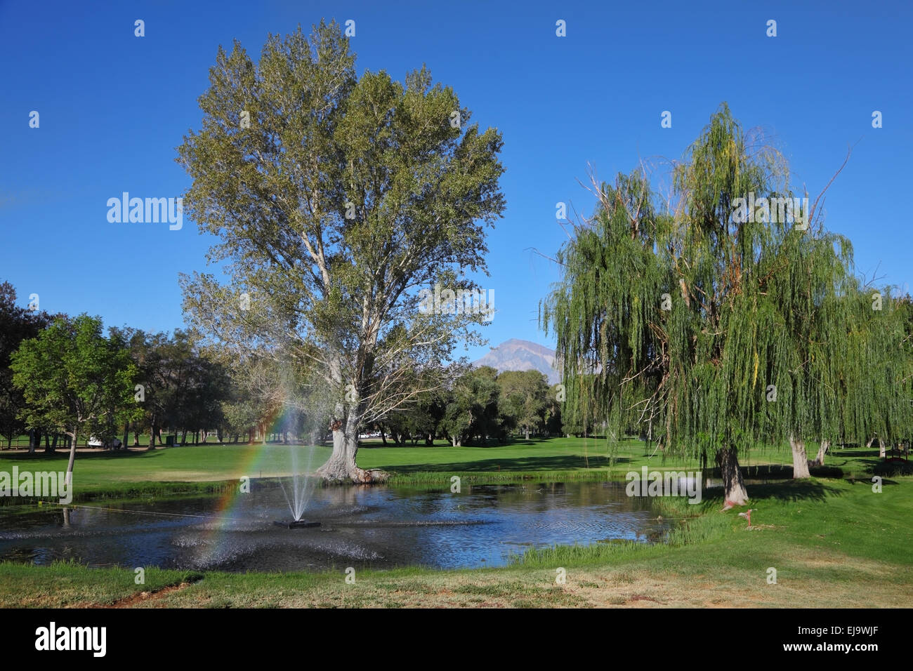 Der Regenbogen auf dem Golfplatz Stockfoto