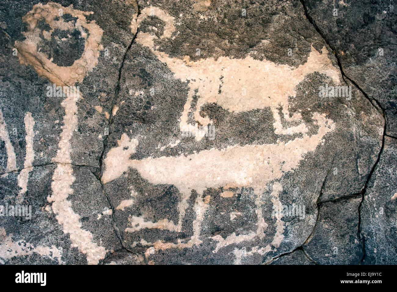 Petroglyph, Pony Hügel Petroglyph Site, in der Nähe von Deming, New Mexiko USA Stockfoto