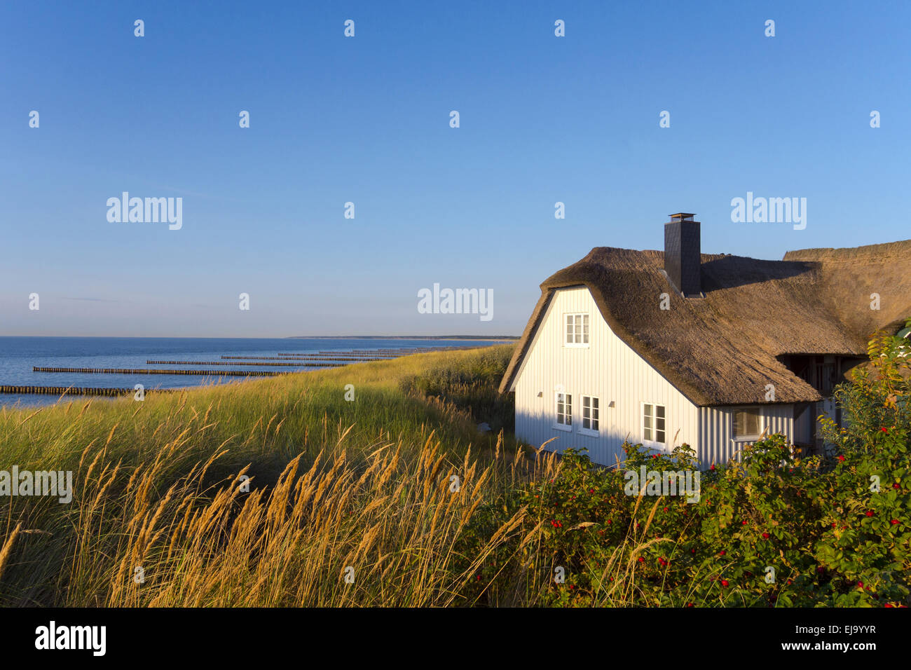 Haus In Den Dunen In Ahrenshoop Stockfotografie Alamy