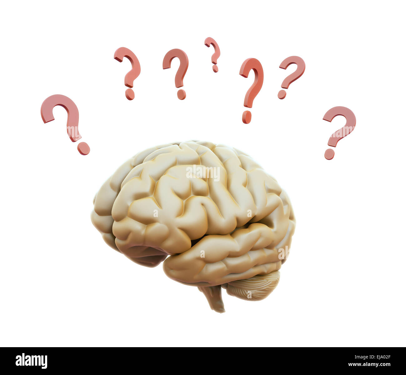 Menschliche Gehirn umgeben mit Fragezeichen Stockfoto