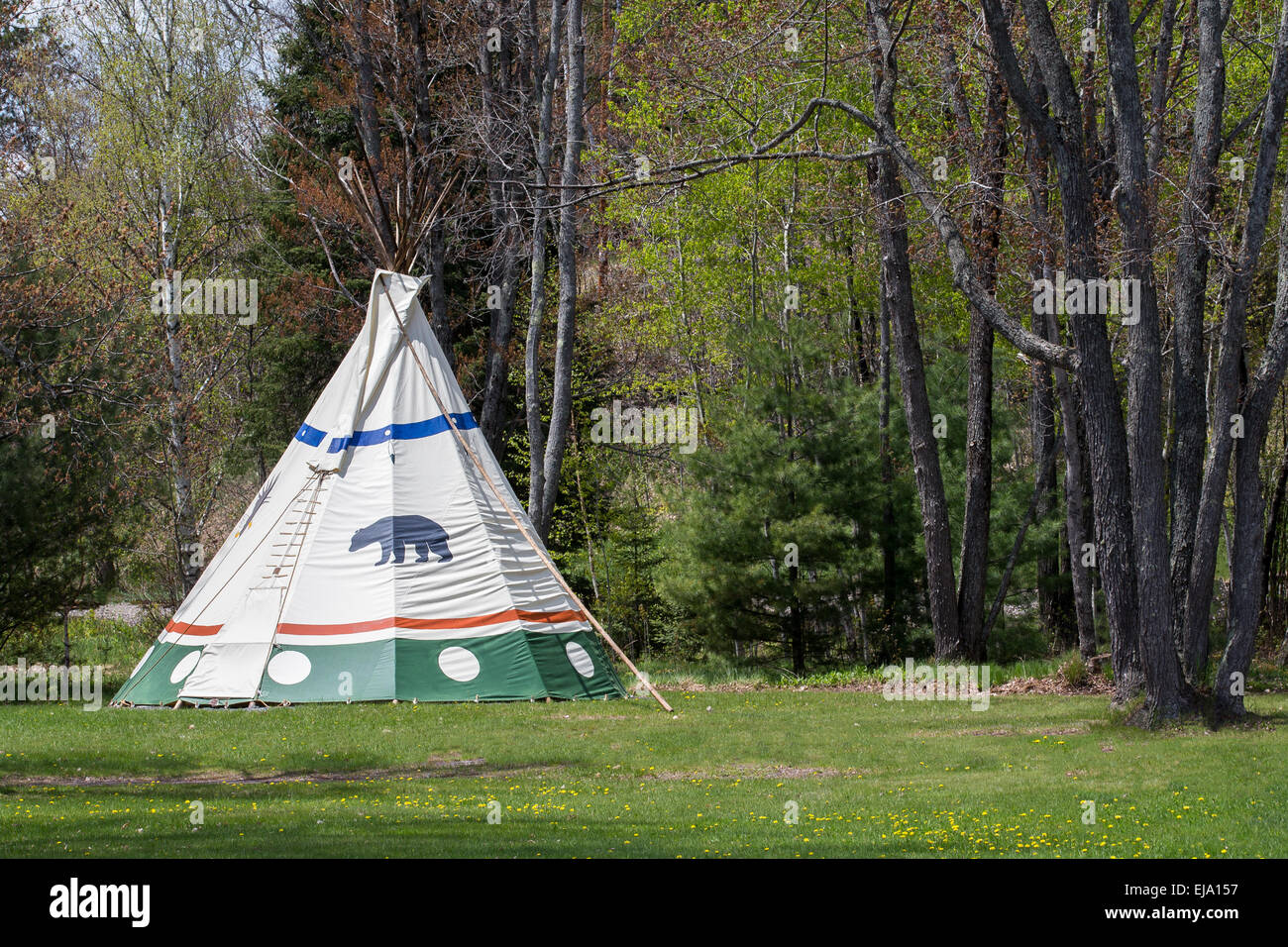 Native American Indianerzelt im oberen Mittelwesten USA State Park.  Bären-Clan Symbol am Zelt. Stockfoto