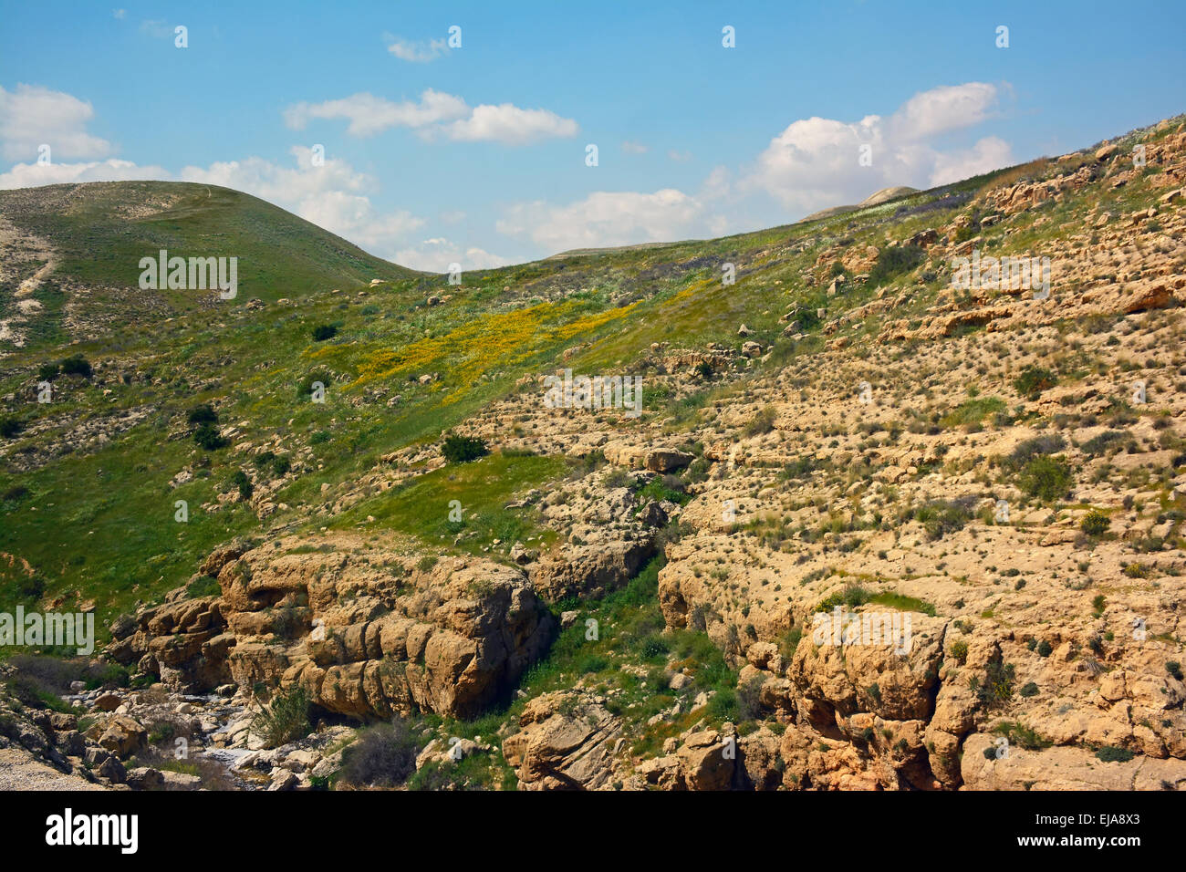 Judäische Wüste Ansicht während der Frühjahrssaison, Israel Stockfoto