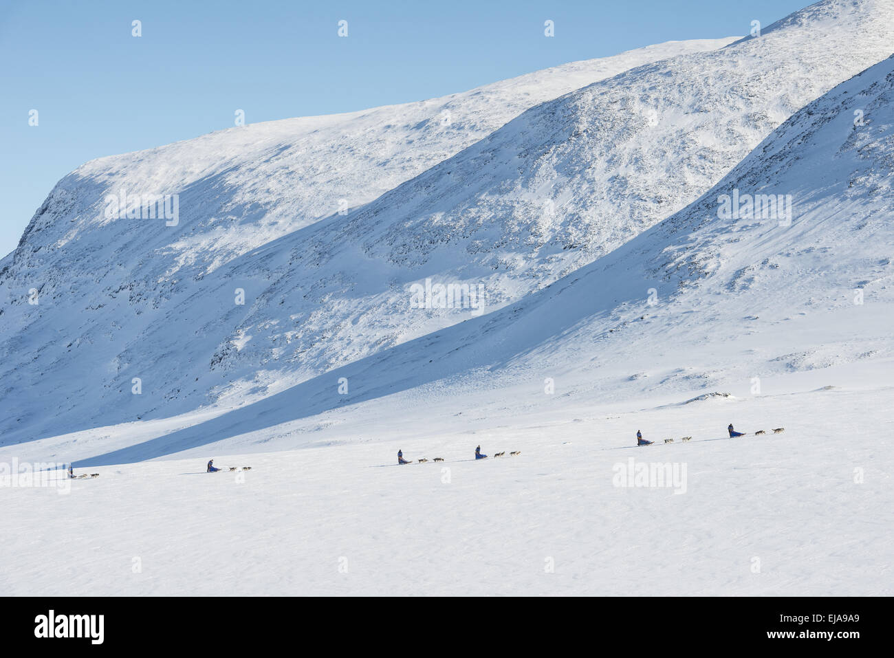 Hundeschlitten Sie-Tour, Tjaektja, Lappland, Schweden Stockfoto