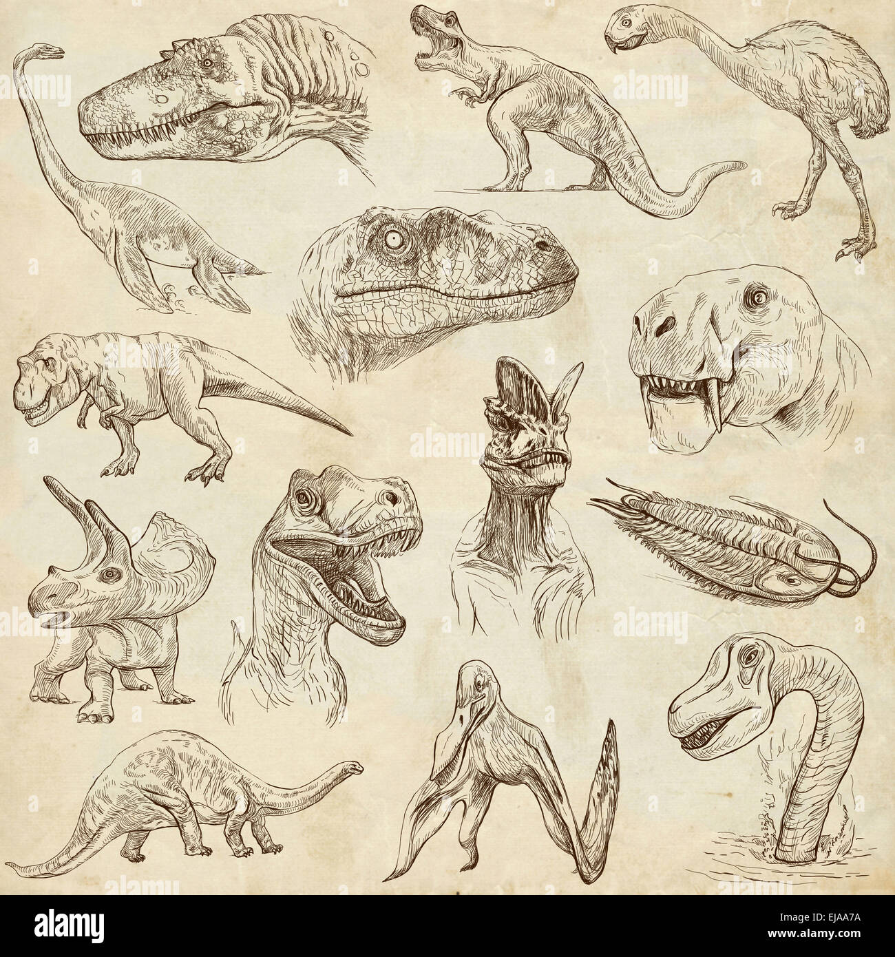 Serie: Dinosaurier - Sammlung eine handgezeichnete Illustrationen. Beschreibung: Full Size handgezeichnete Illustrationen, original f Stockfoto