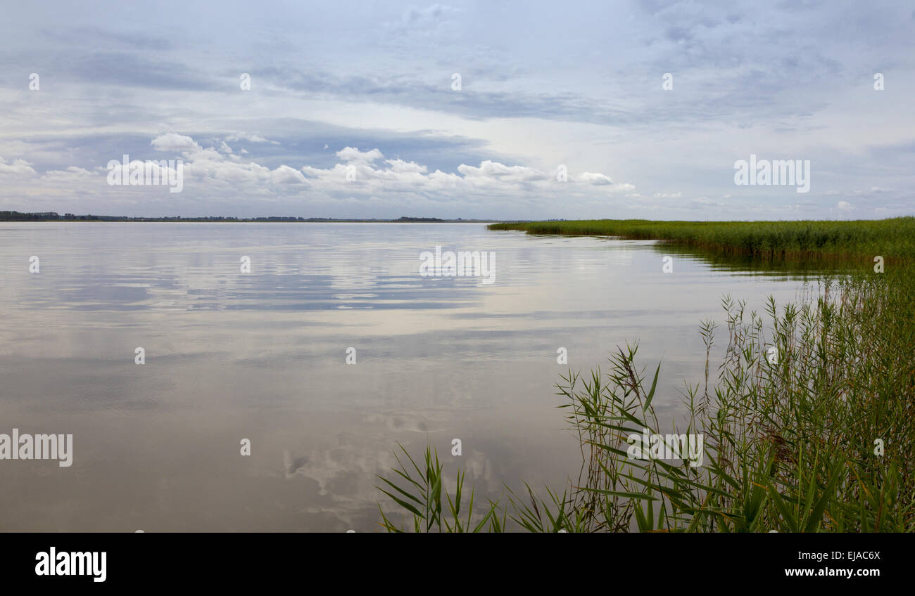 Boddenlandschaft Stockfoto