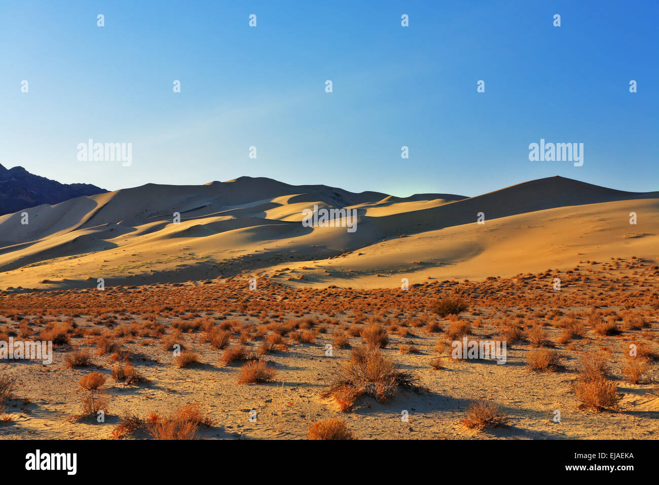 Die sandigen Düne Eureka in Wüste Stockfoto