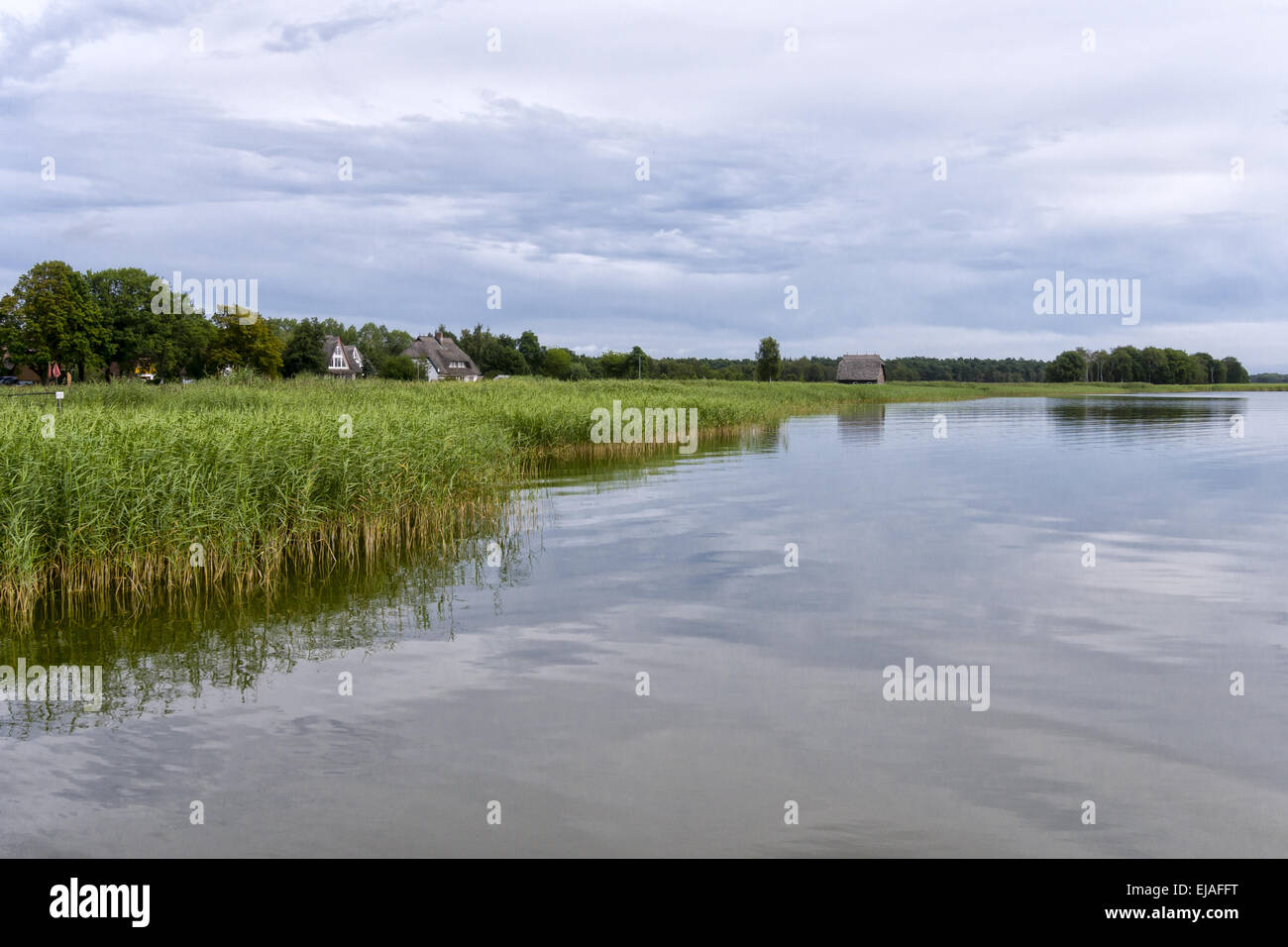 Boddenlandschaft Stockfoto