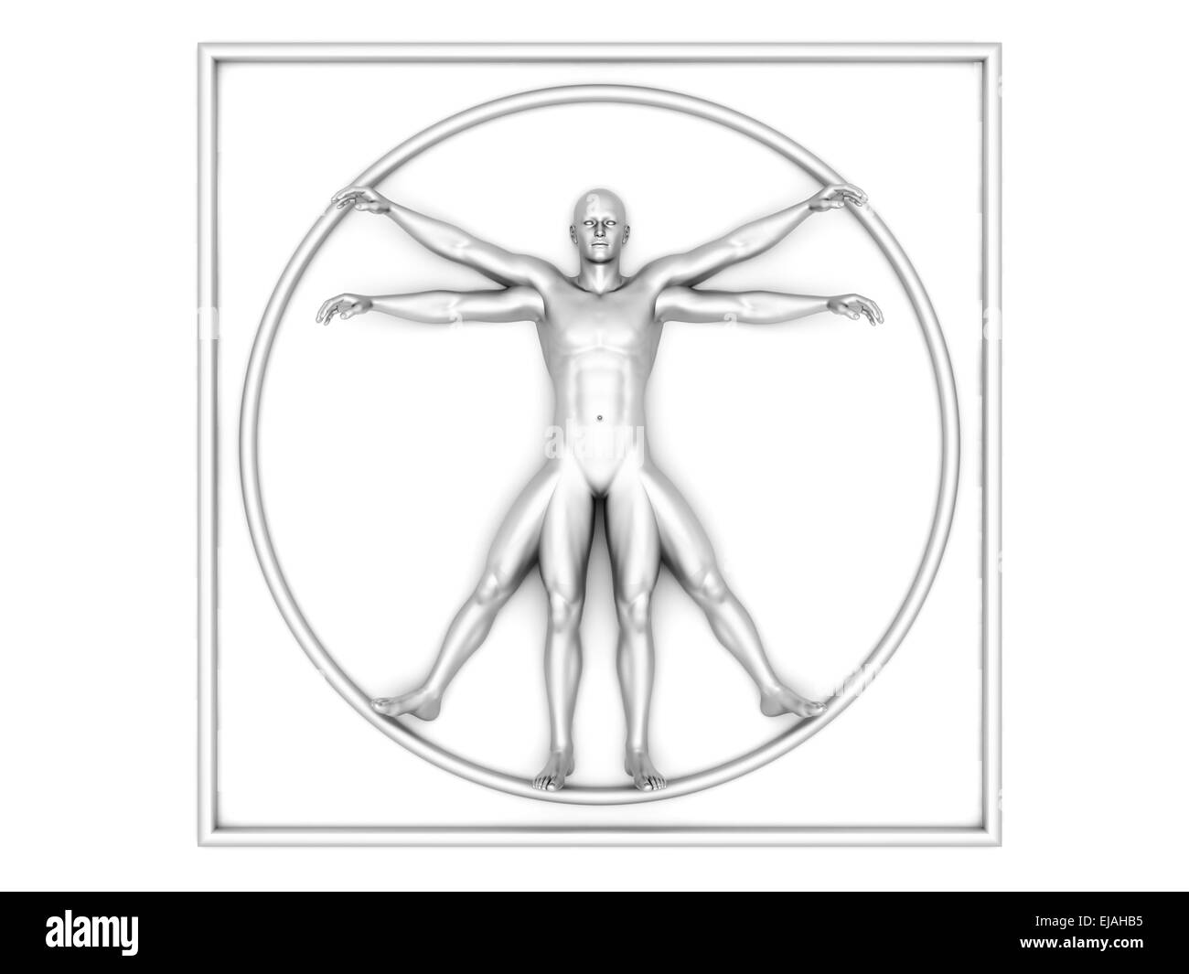 Menschliche proportionen Ausgeschnittene Stockfotos und -bilder - Alamy