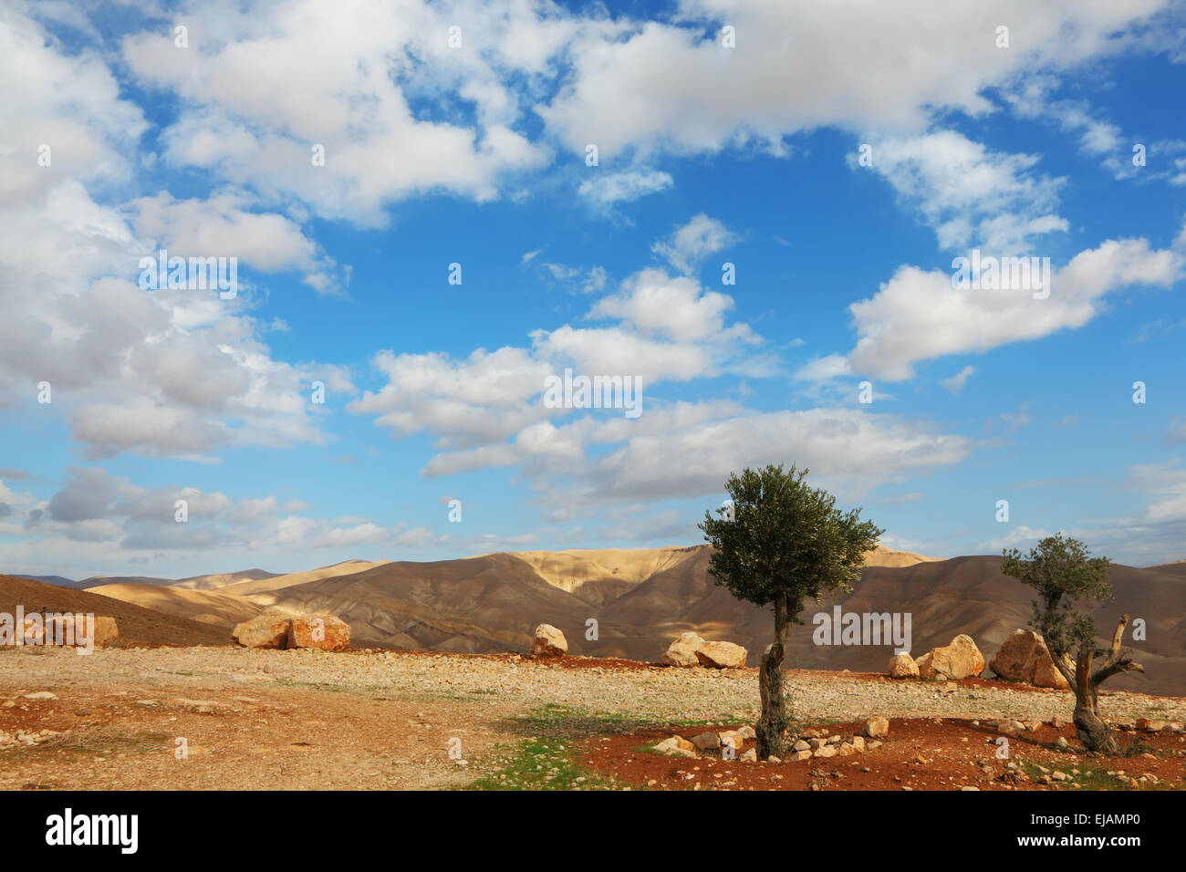 Wunderschönen Wintertag in der Judäischen Wüste Stockfoto