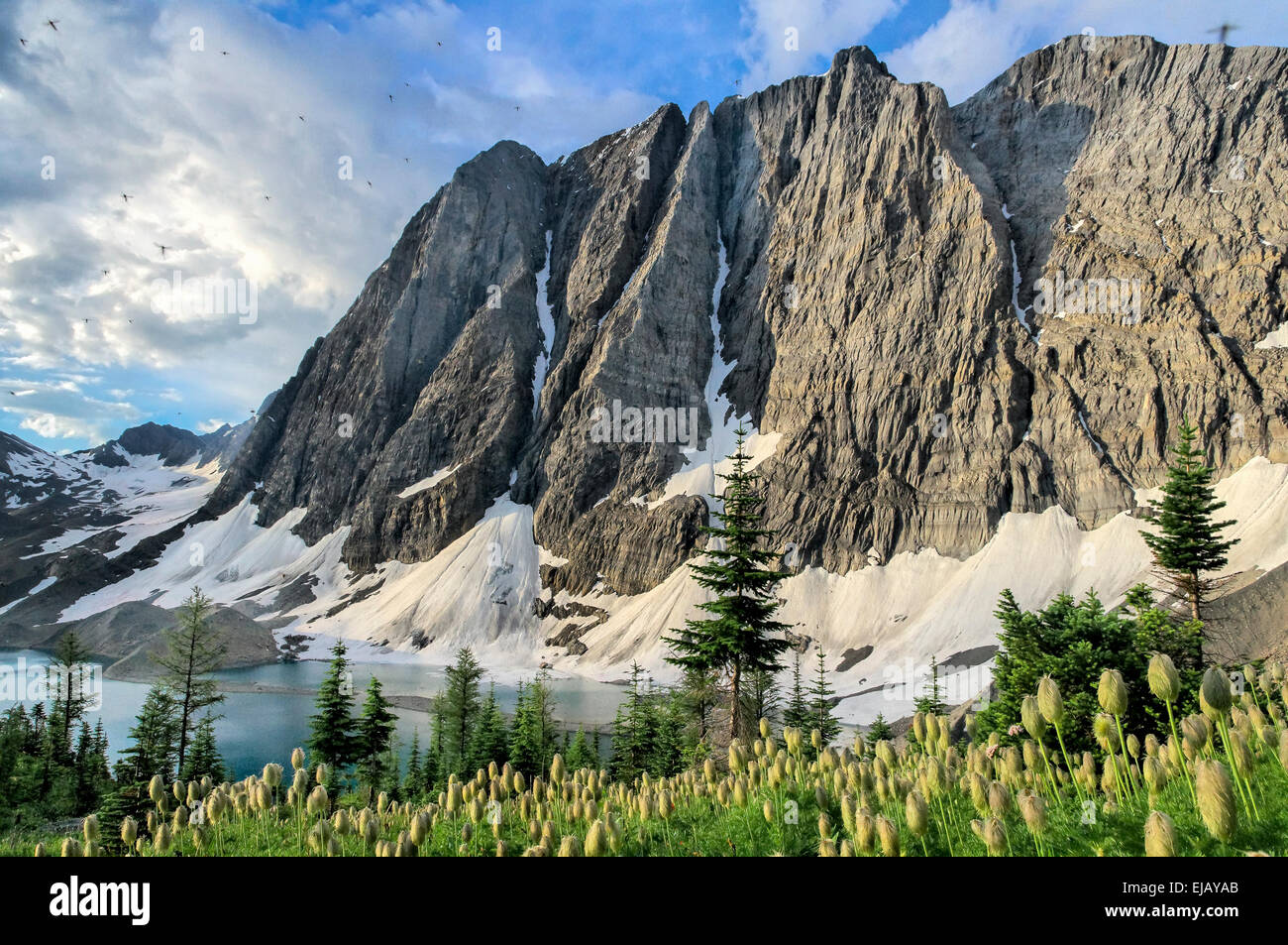 Umschwärmt von Mücken in Floe See, Kootenay National Park, Britisch-Kolumbien, Kanada Stockfoto