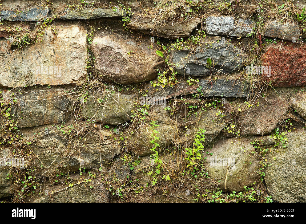 Fieldstone Wand Stockfoto