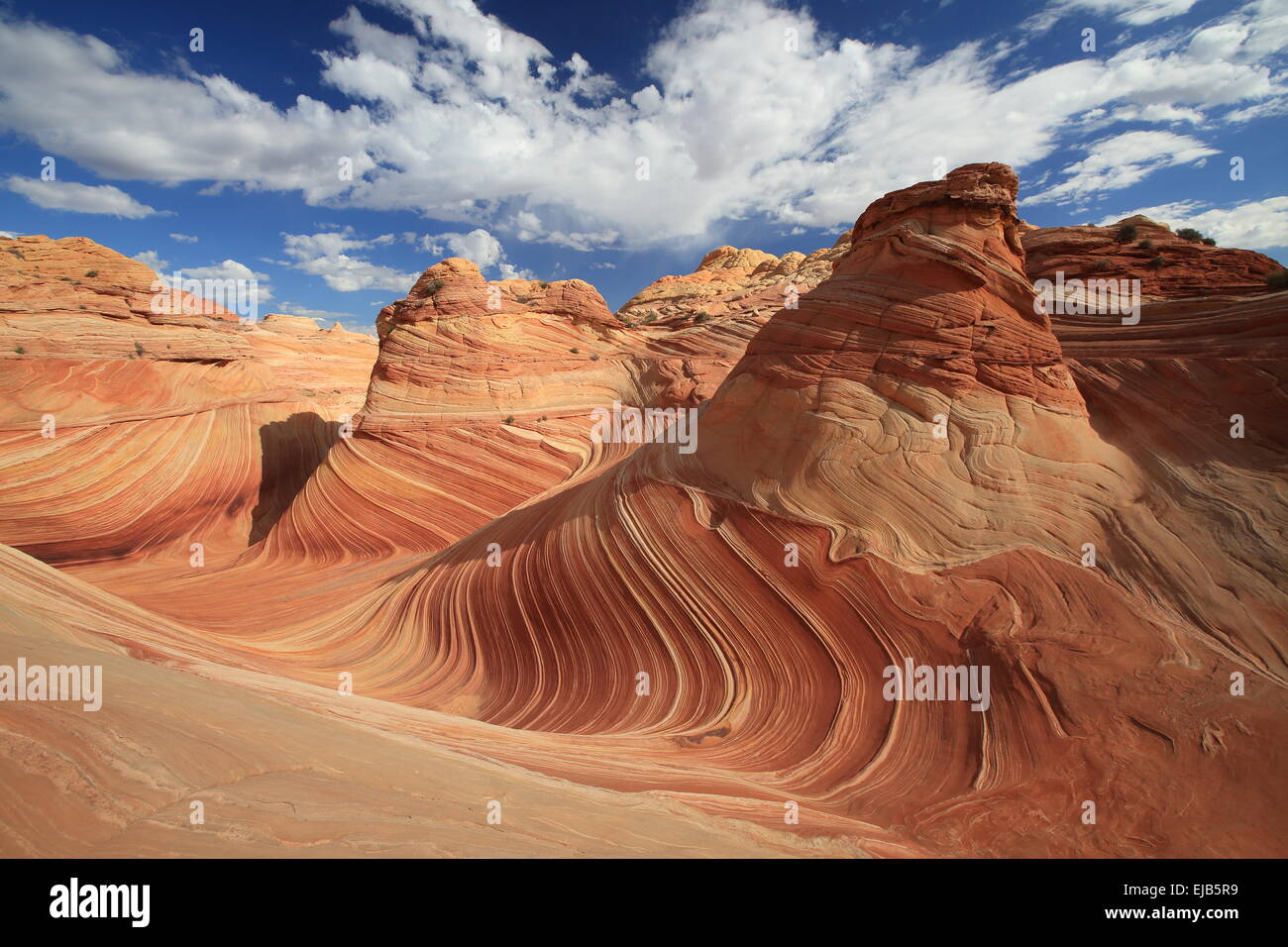 Coyote Buttes North die Welle Stockfoto