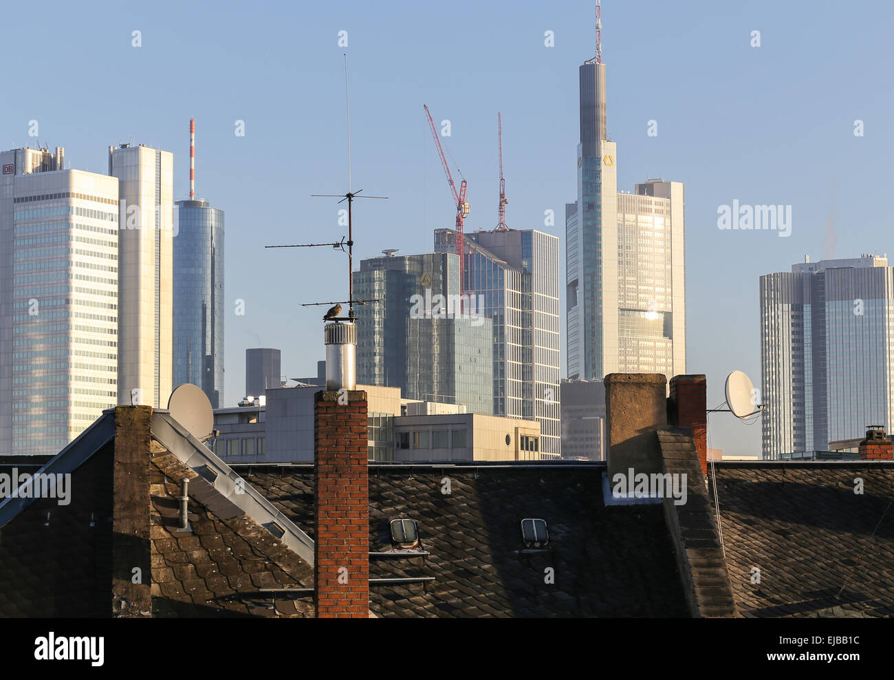 Skyline in Frankfurt/Main Stockfoto