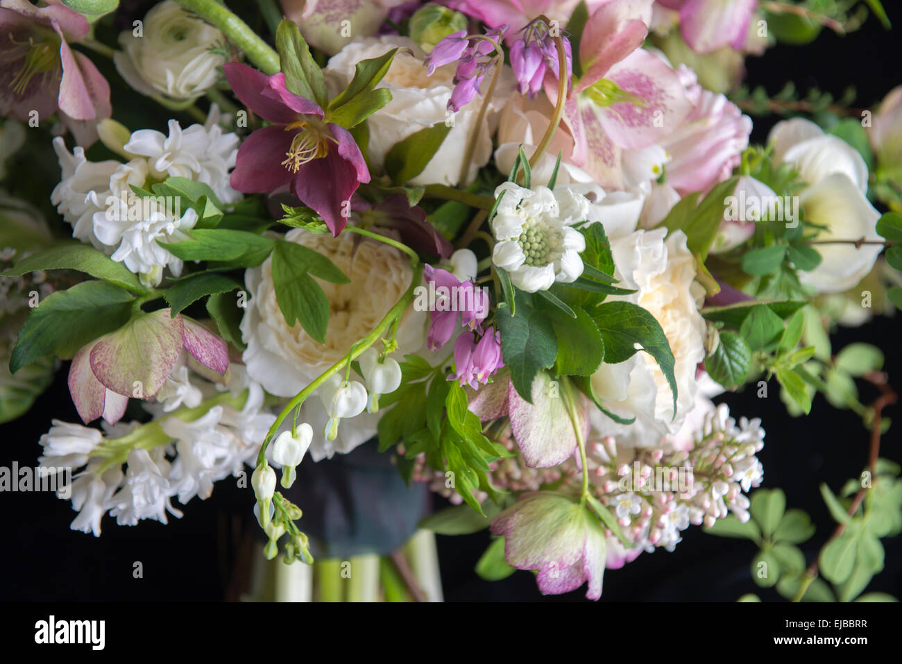 Reichlich Blumenstrauß von blühenden Frühlingsblumen wie Ranunkeln Nieswurz Papagei Tulpe Tulipa und weißes Tränendes Herz Stockfoto