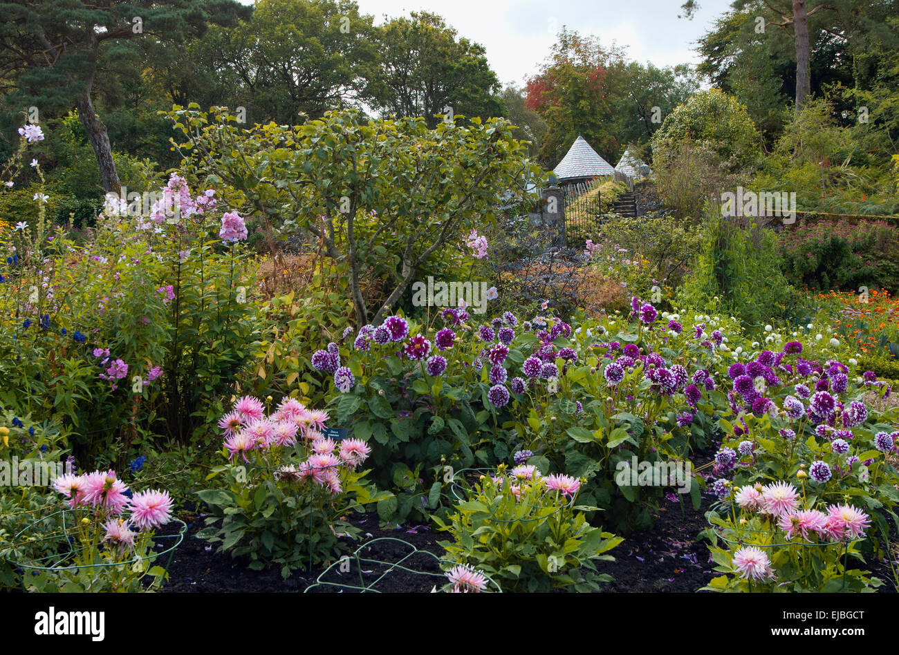 Gärten in Glenveagh Castle, County Donegal, Irland Stockfoto
