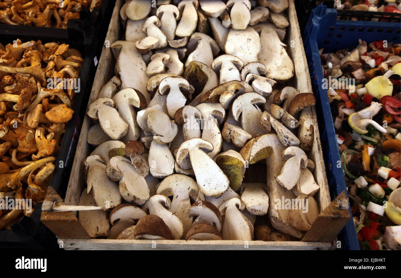 EUROPA DEUTSCHLAND SCHWARZWALD Stockfoto