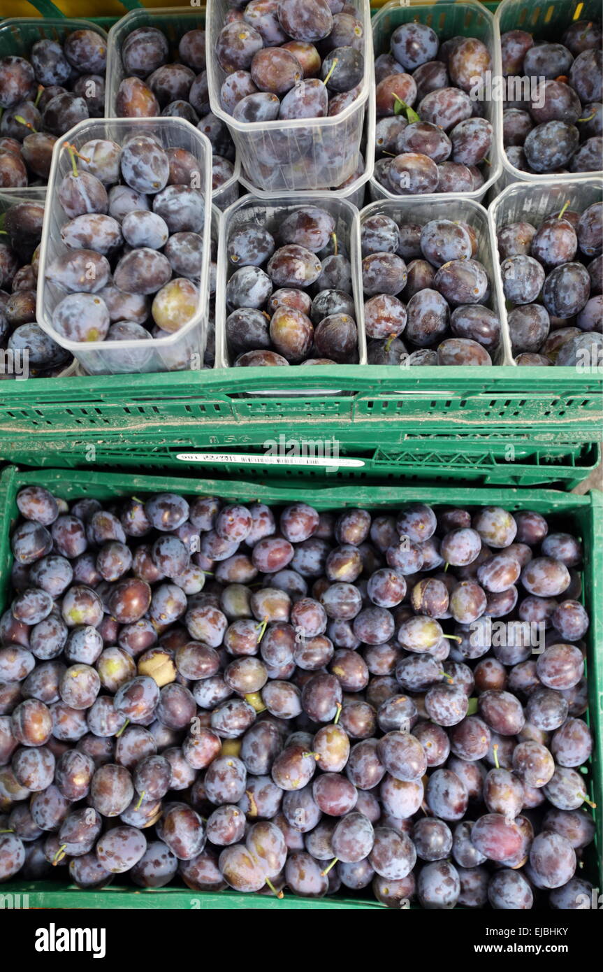 EUROPA DEUTSCHLAND SCHWARZWALD Stockfoto
