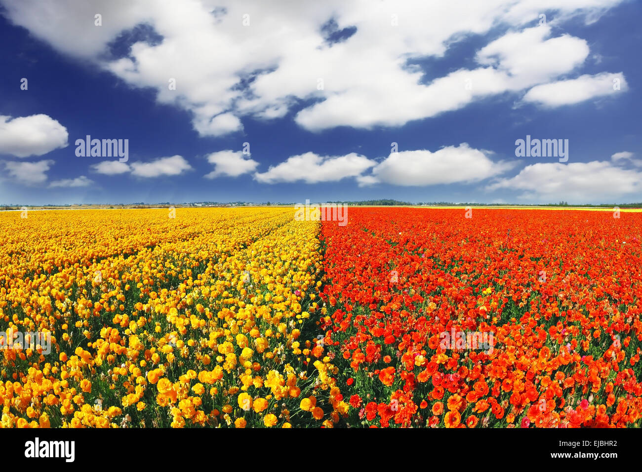 Das wunderbare Frühlingswetter Stockfoto