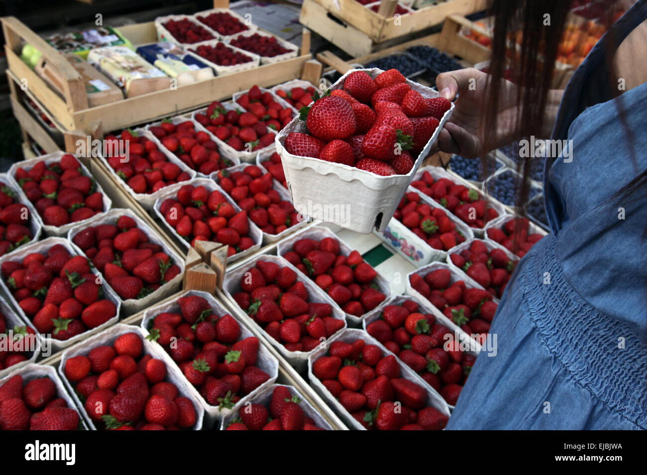 EUROPA DEUTSCHLAND SCHWARZWALD Stockfoto