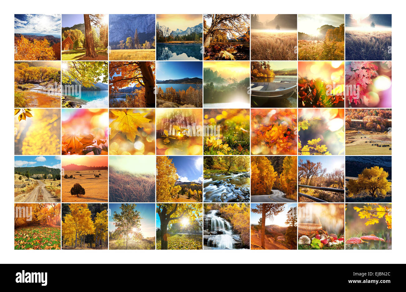 Herbst-collage Stockfoto