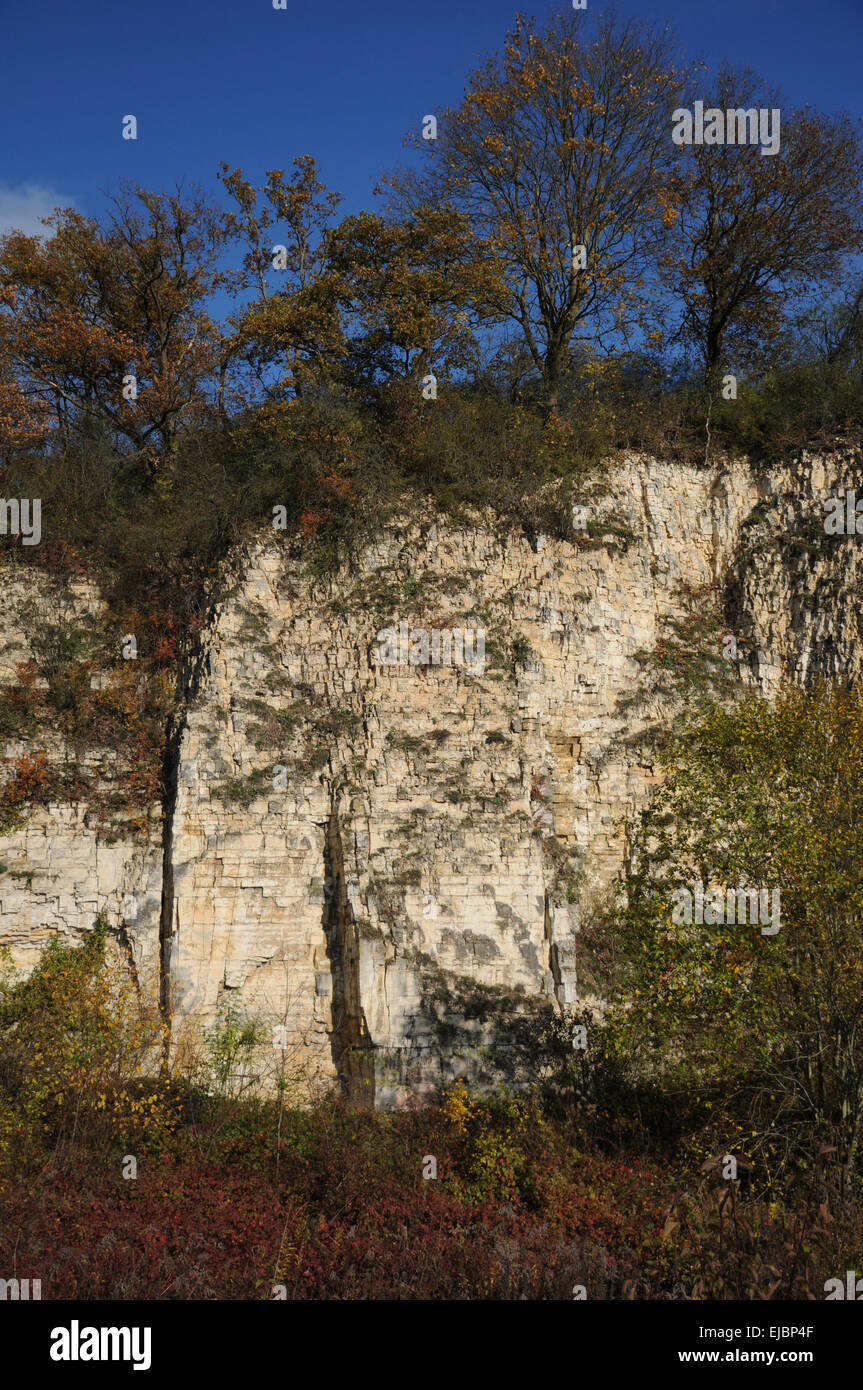 Kalk-Steinbruch Stockfoto