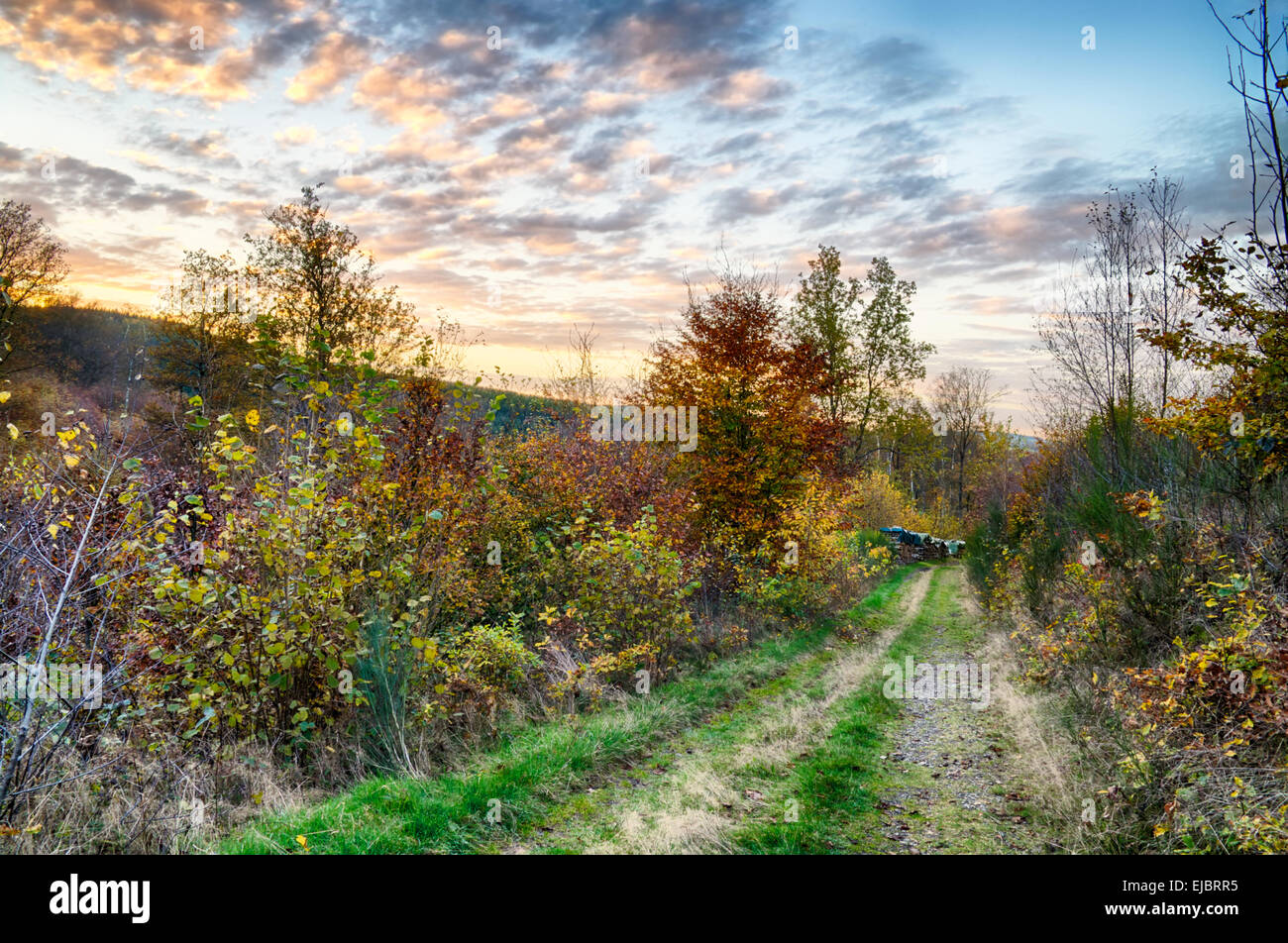 Herbstliche Landschaft Stockfoto