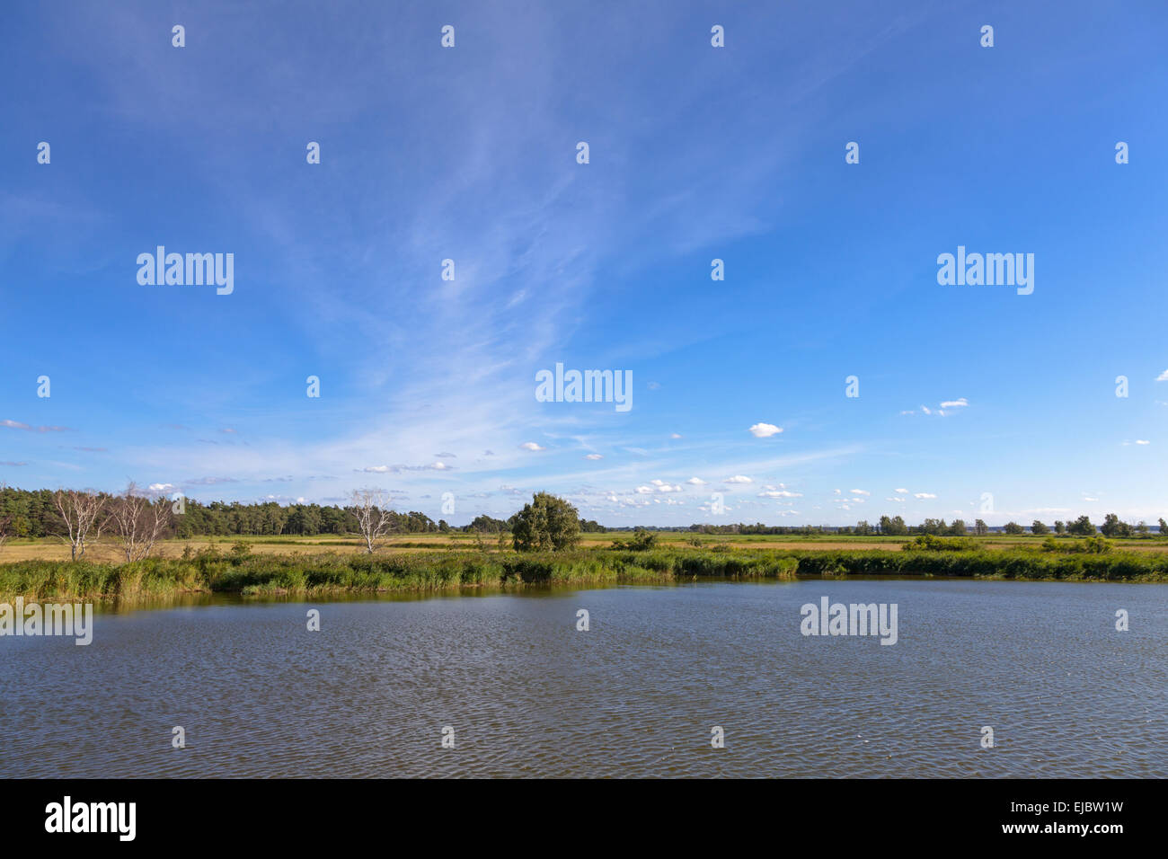 Boddenlandschaft Stockfoto