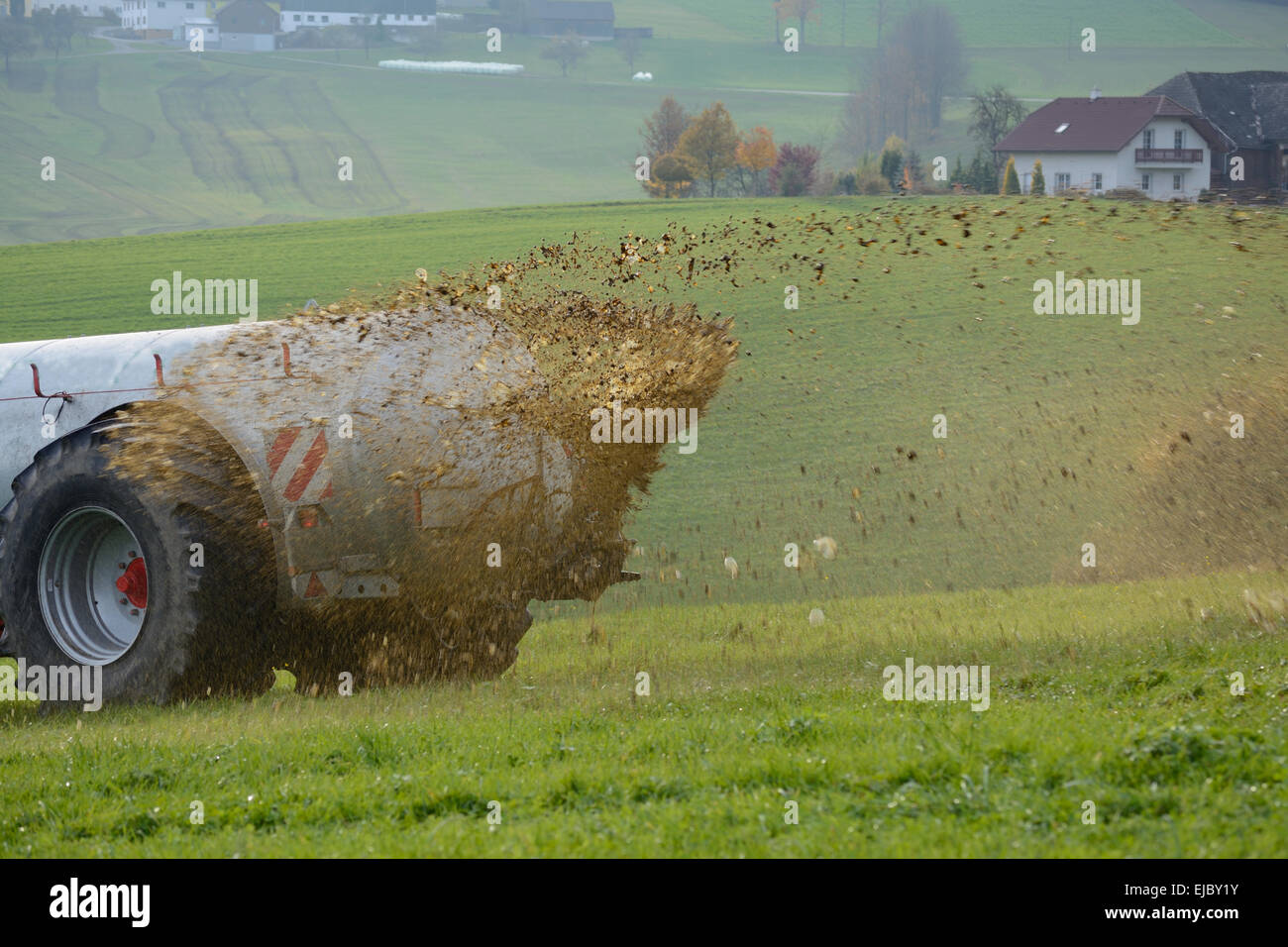 Eine Liegewiese mit Gülle düngen Stockfoto