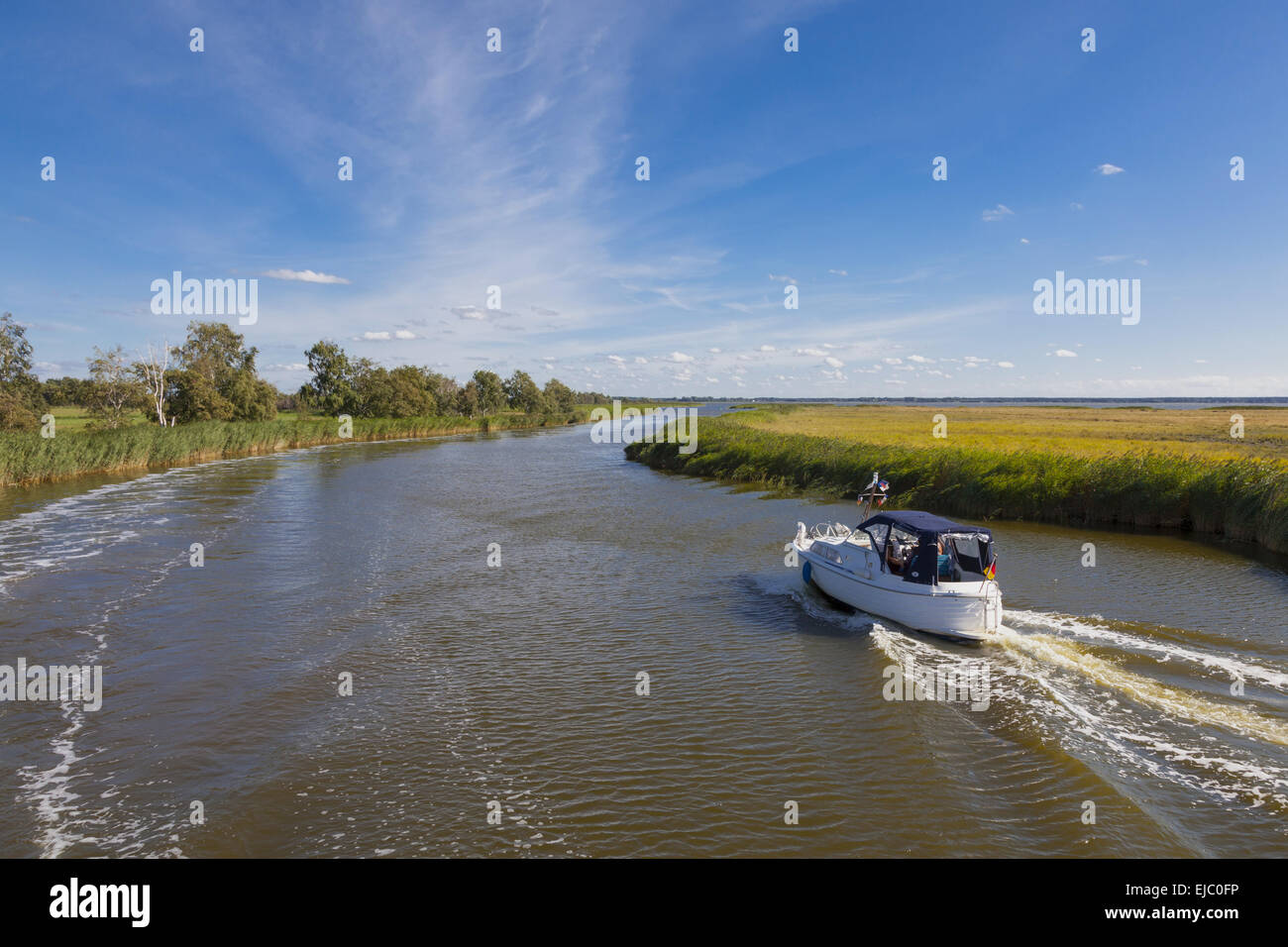 Boddenlandschaft Stockfoto